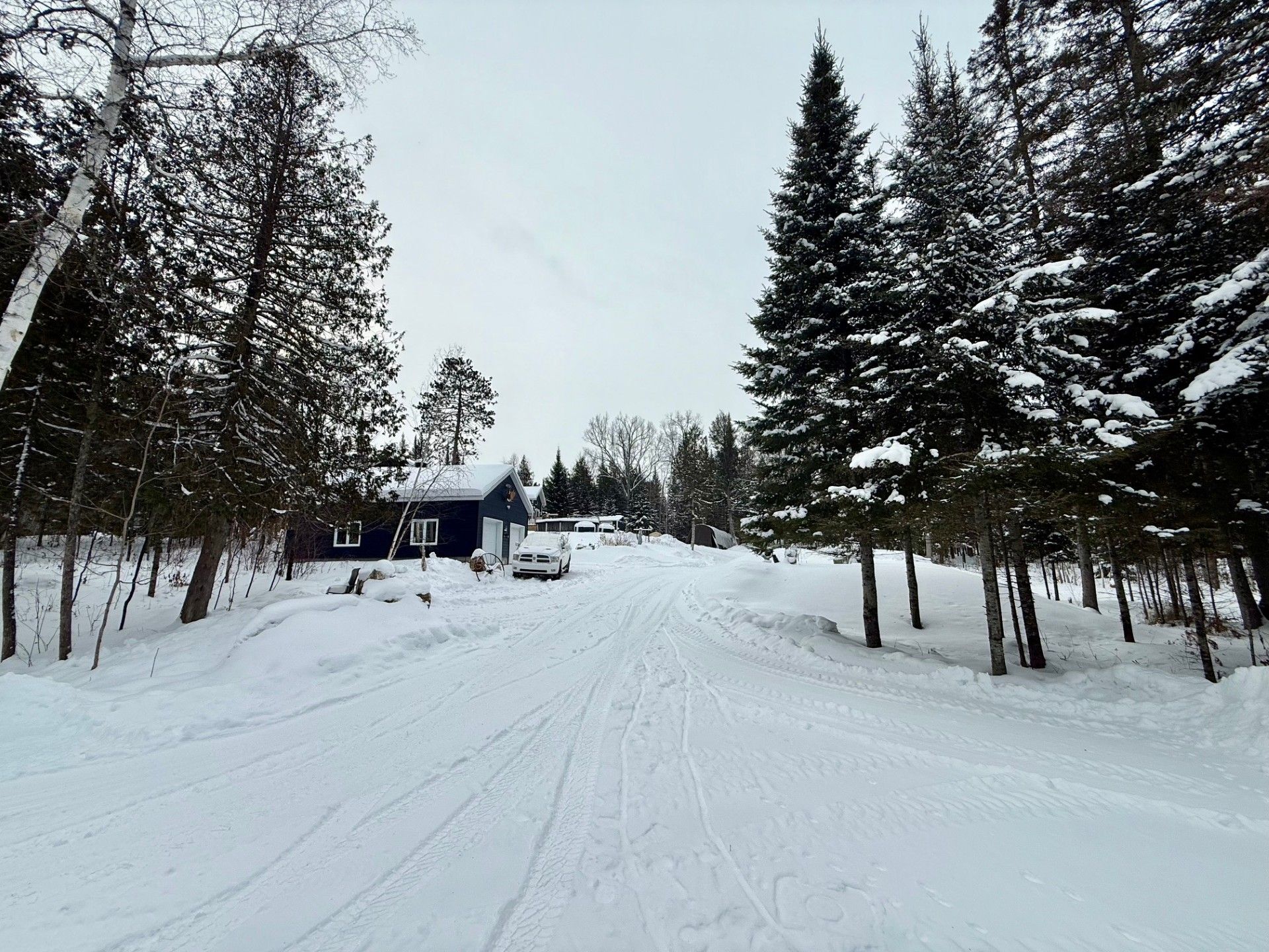 Backyard - Second entry