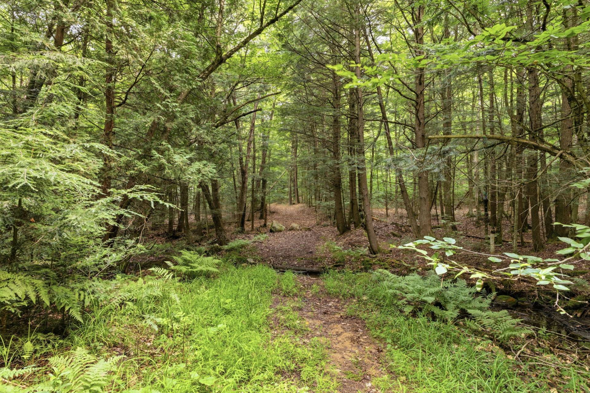 Land/Lot