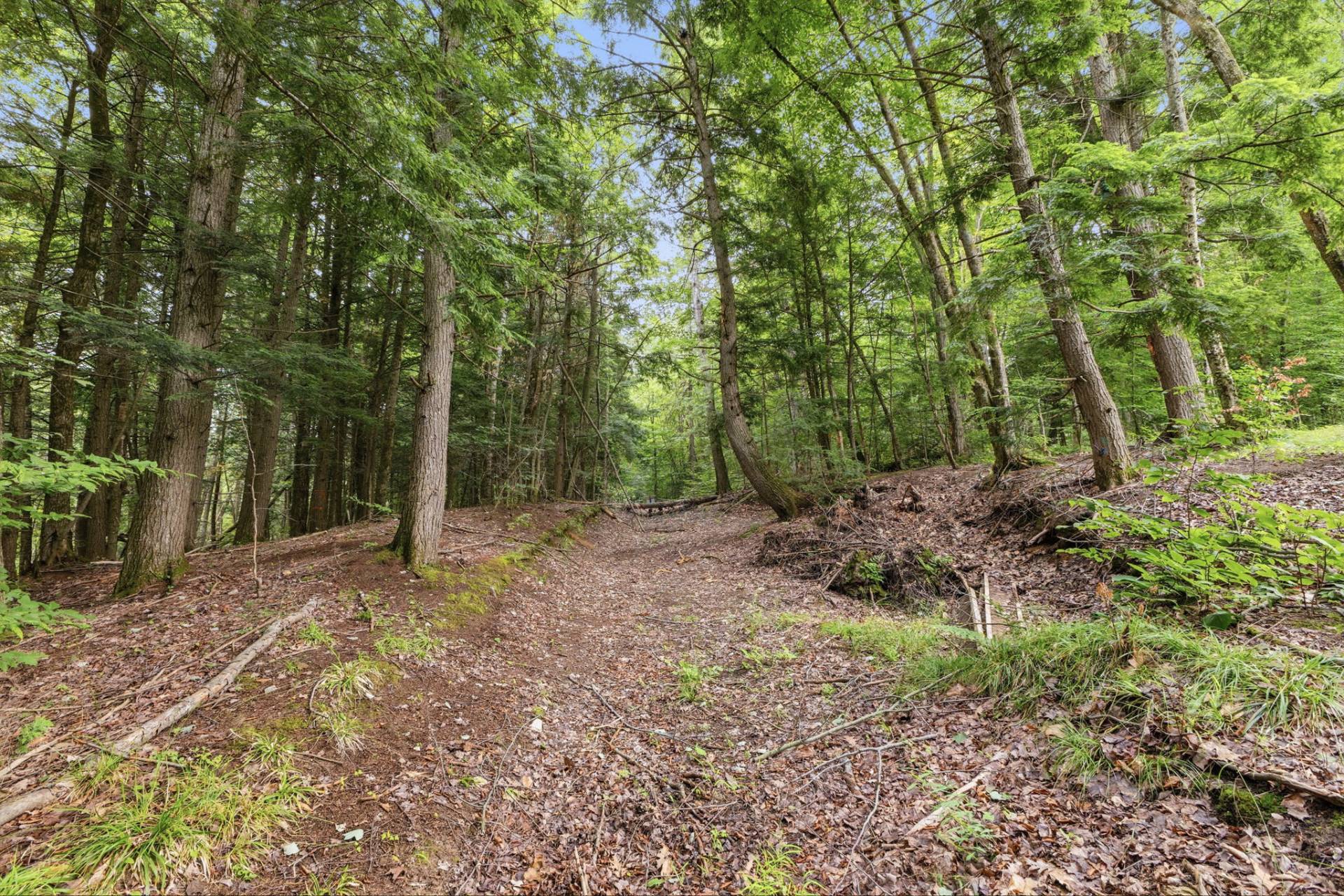 Land/Lot