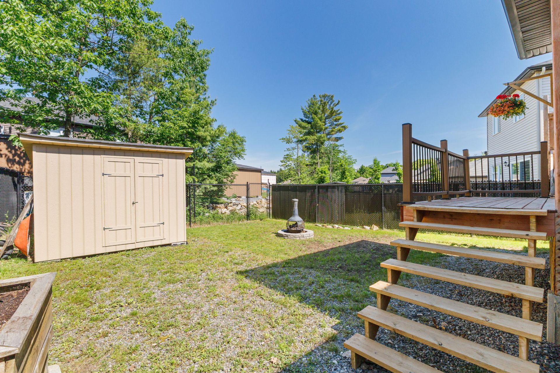 Backyard