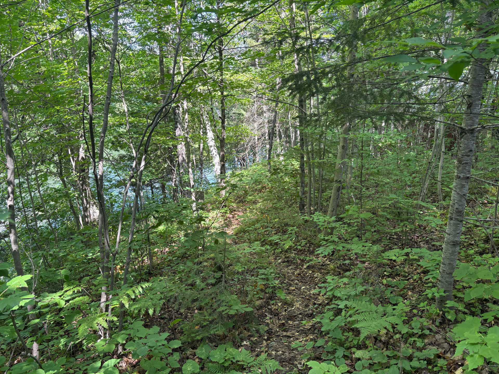 Land/Lot
