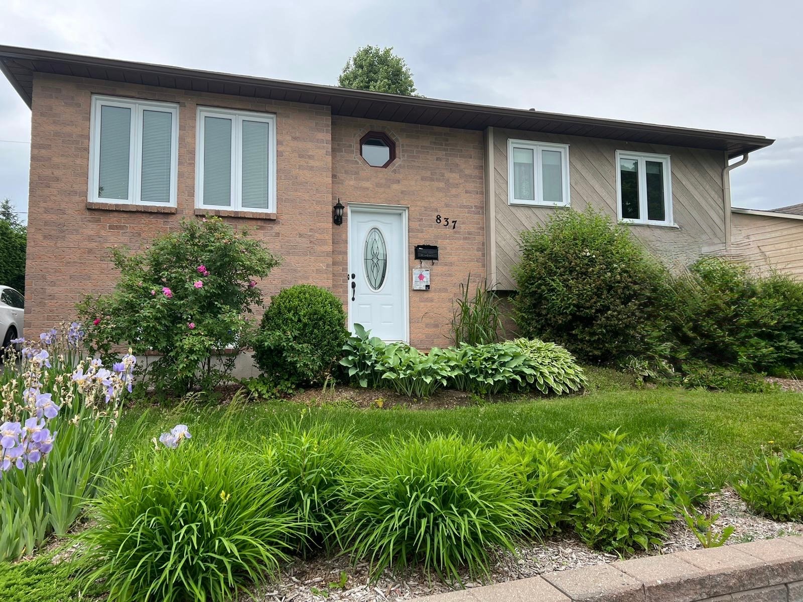 Frontage - Summer picture