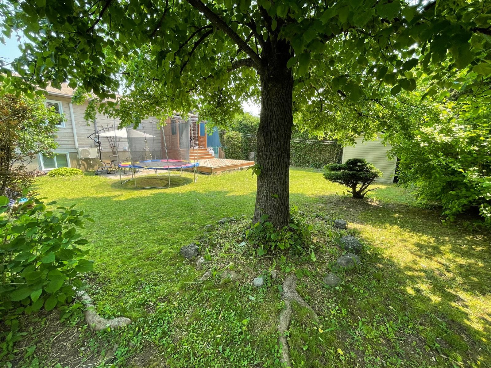 Other - Summer picture