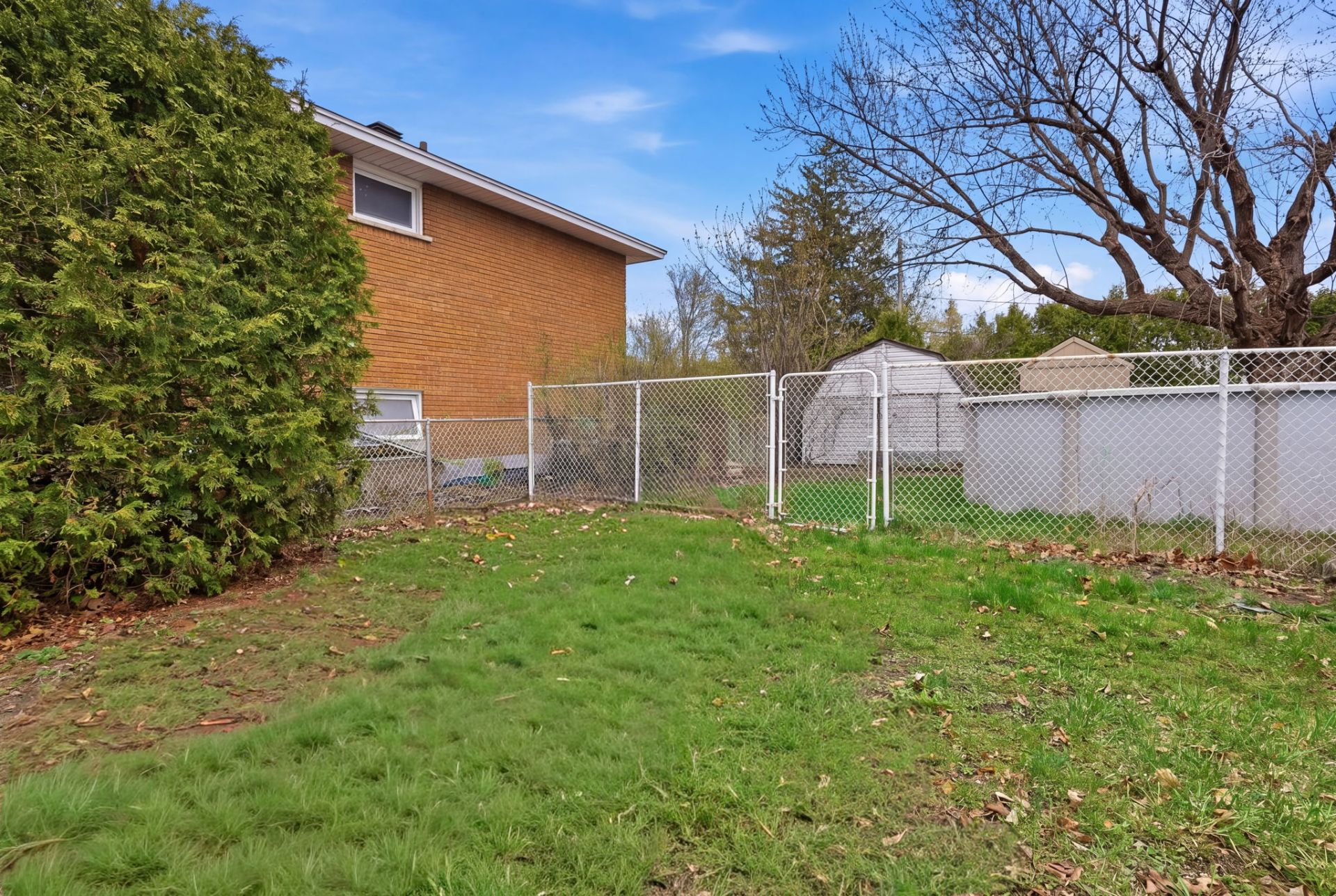 Backyard
