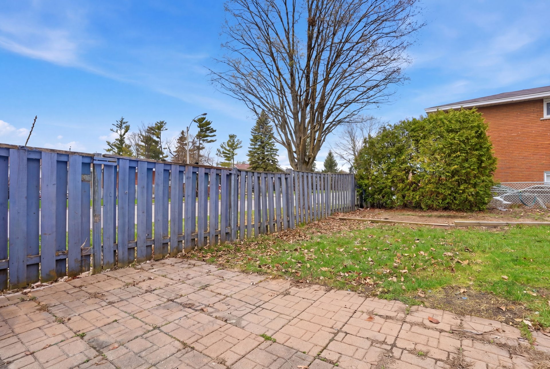 Backyard