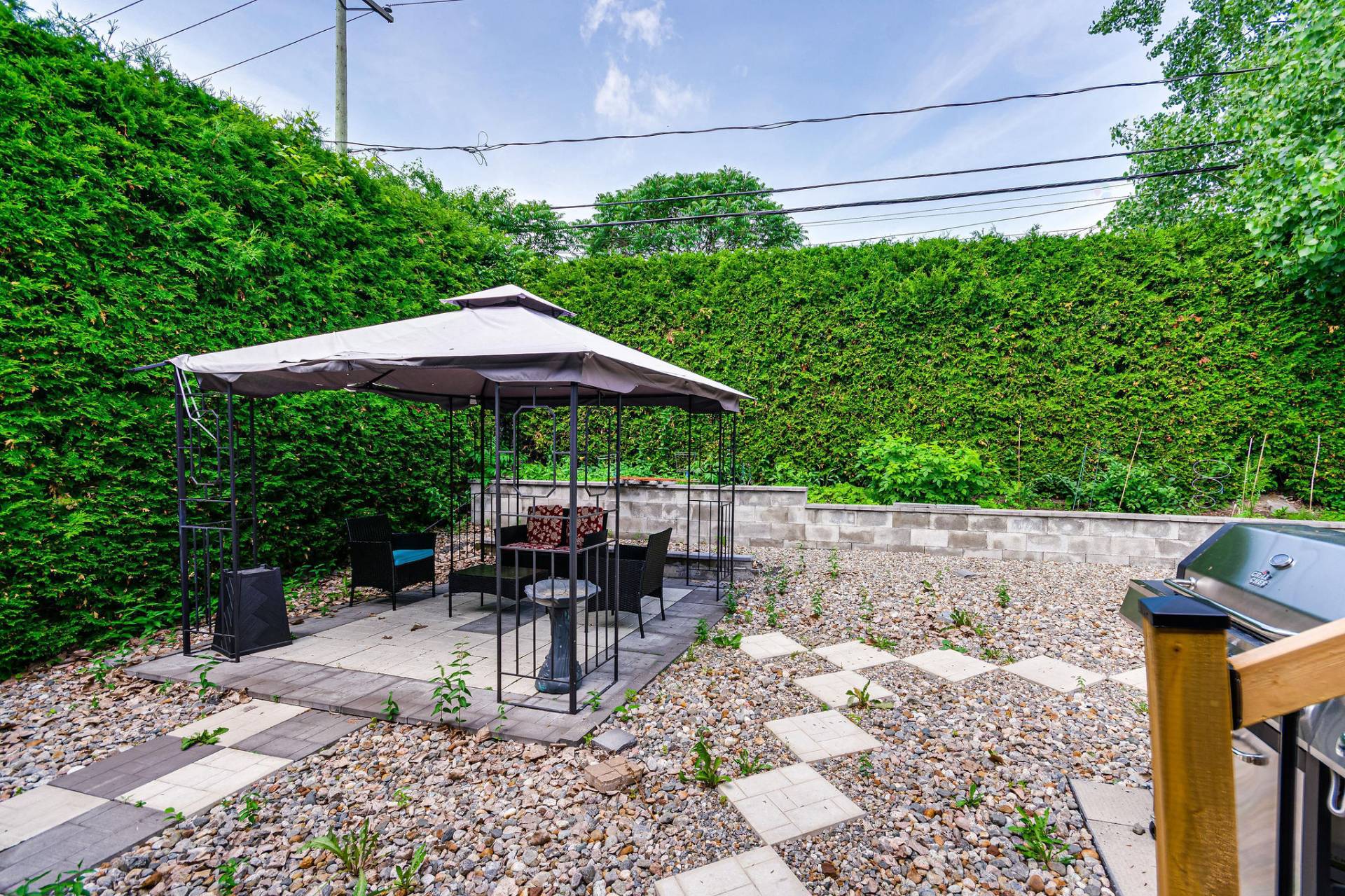 Backyard