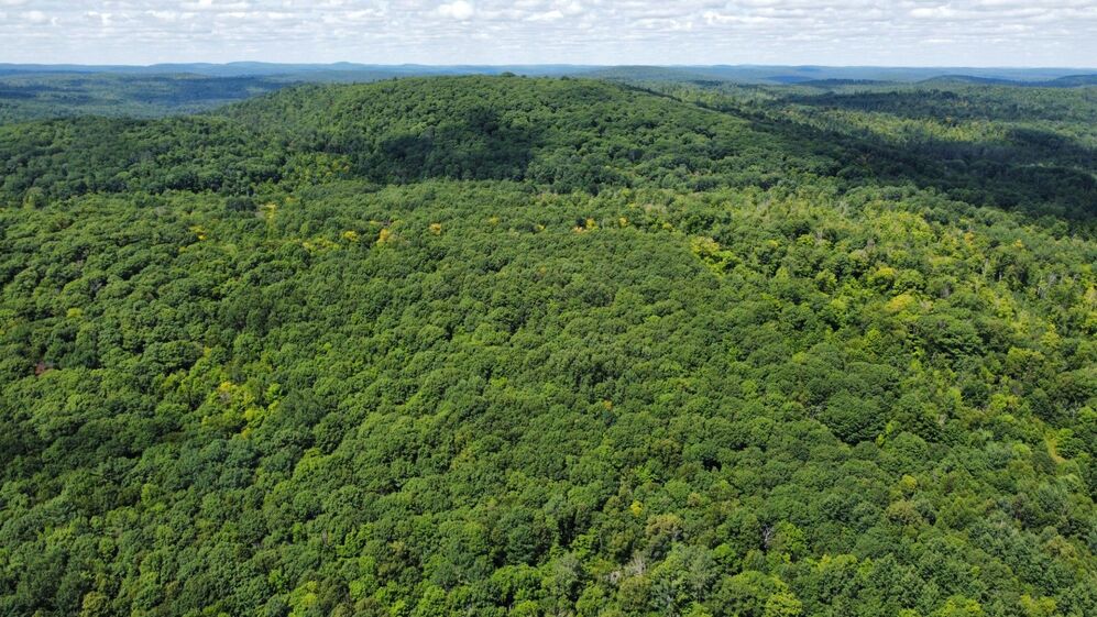  Ch. du Lac-des-Îles 