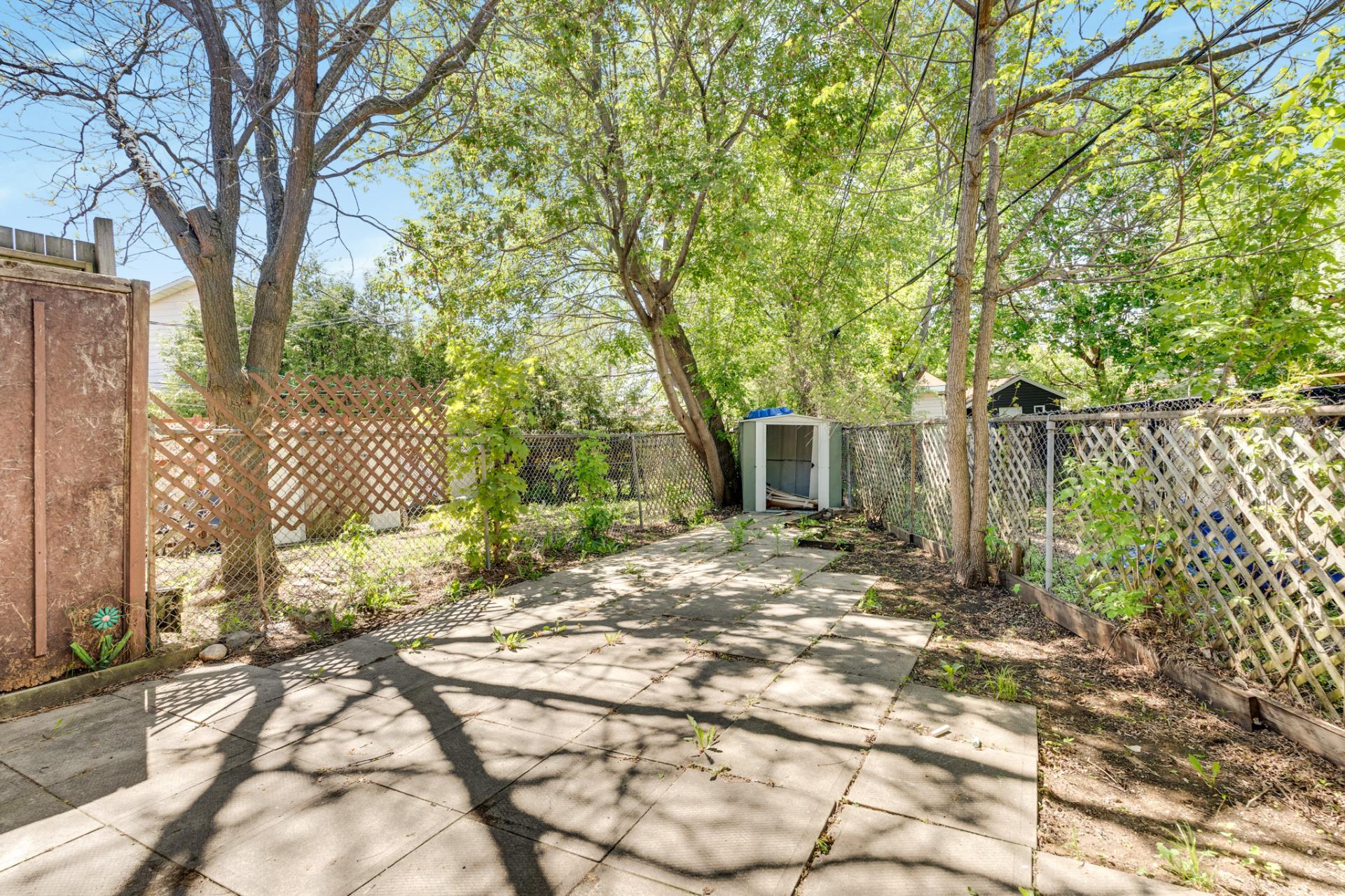 Backyard