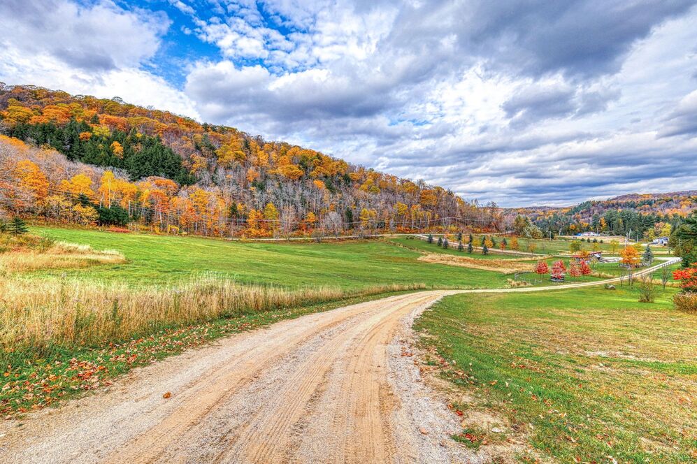Land/Lot