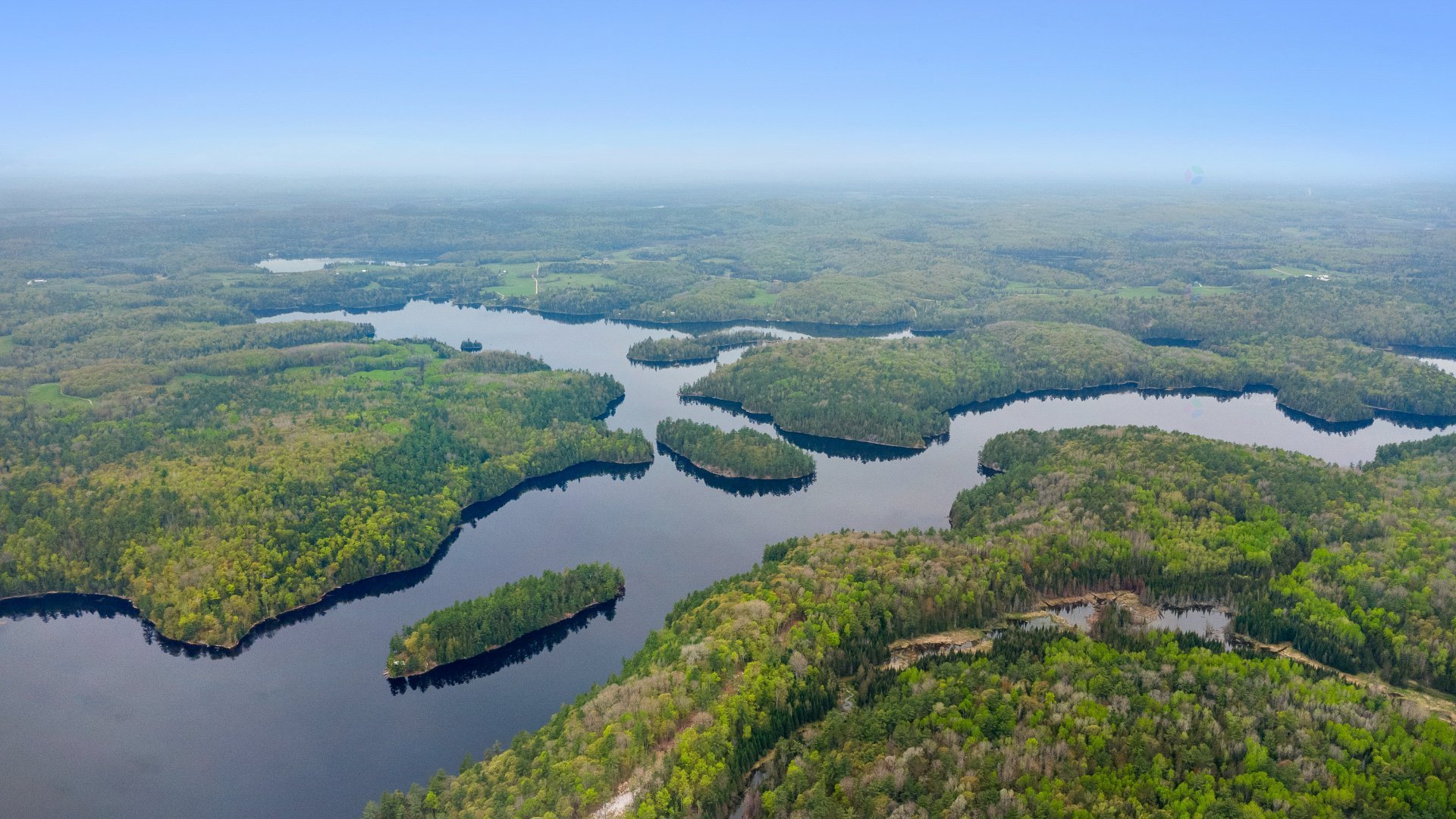Overall view