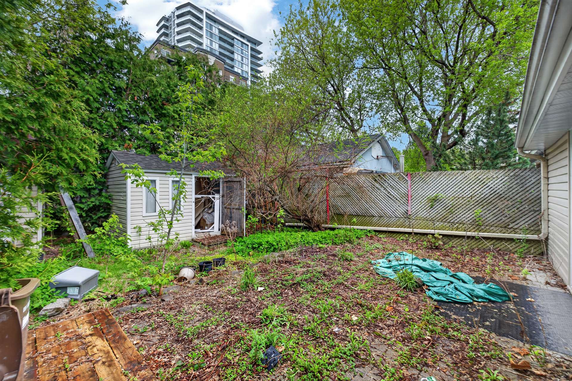 Backyard