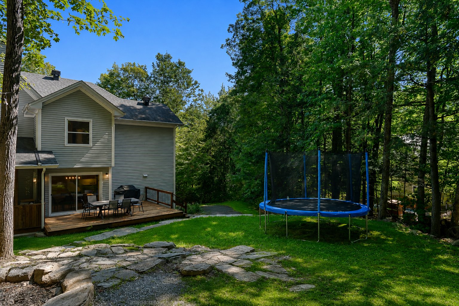 Backyard