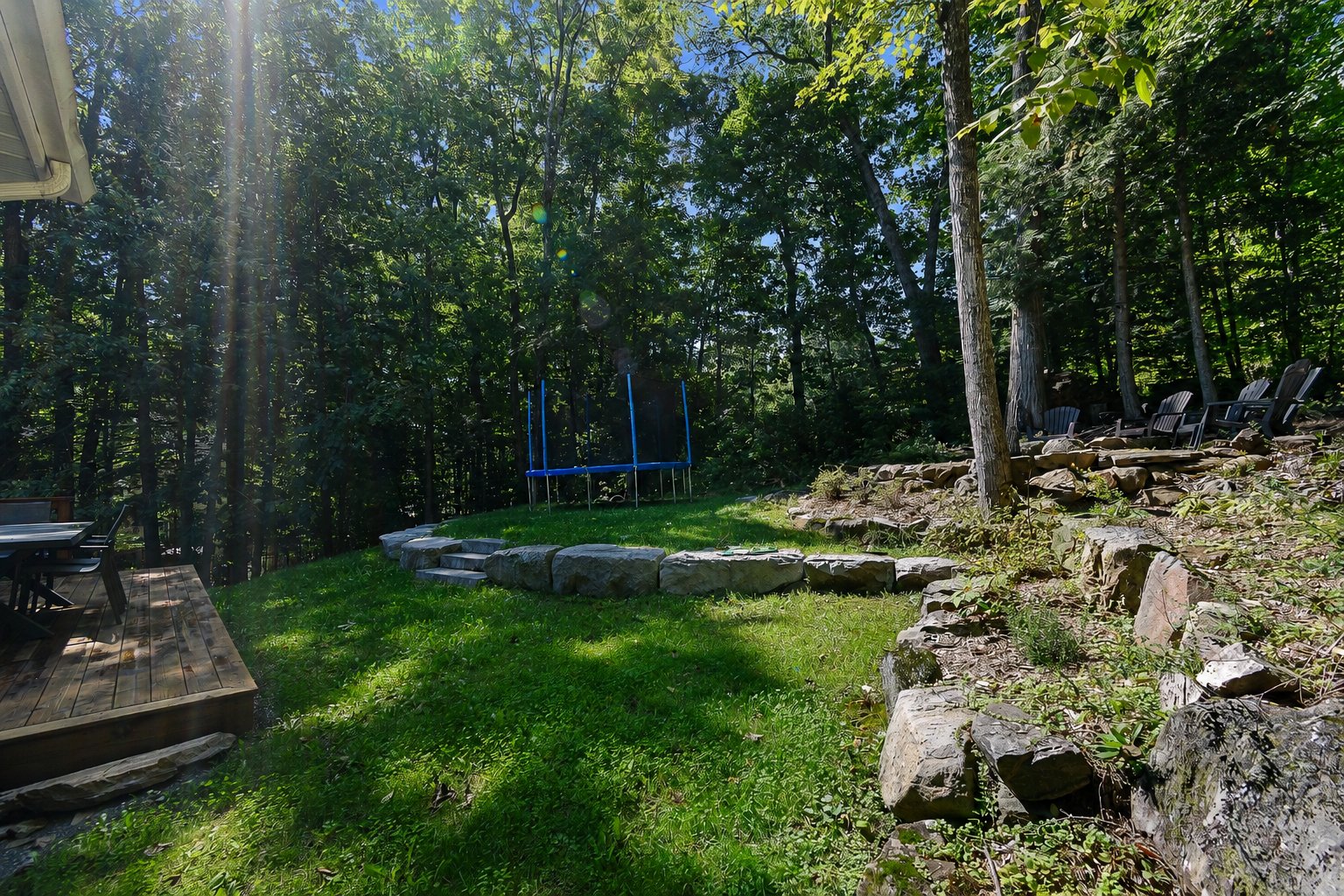 Backyard