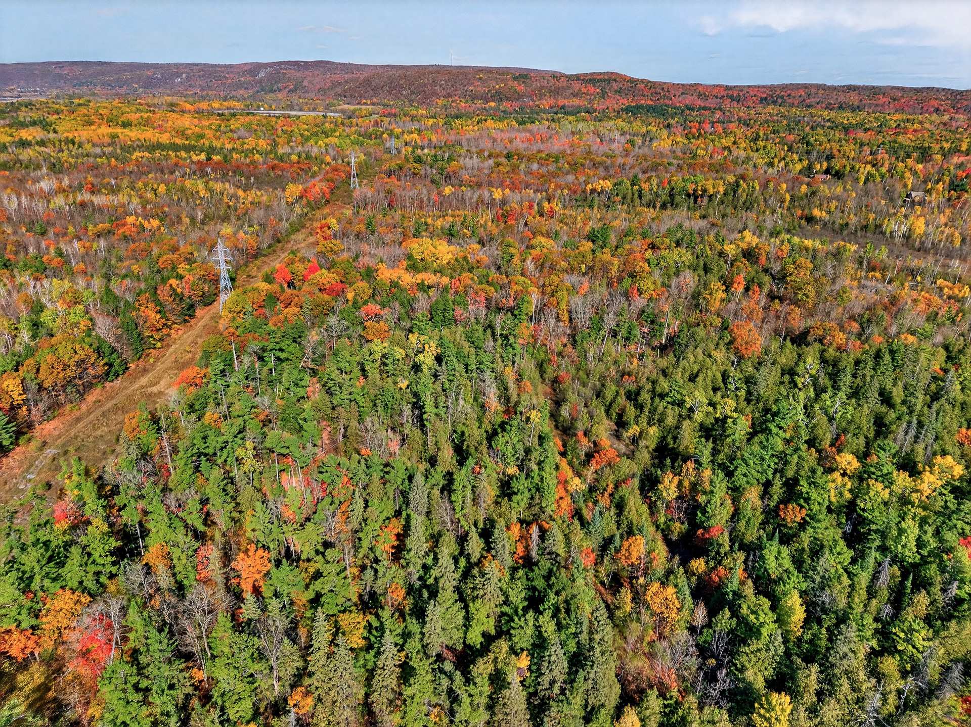 Land/Lot