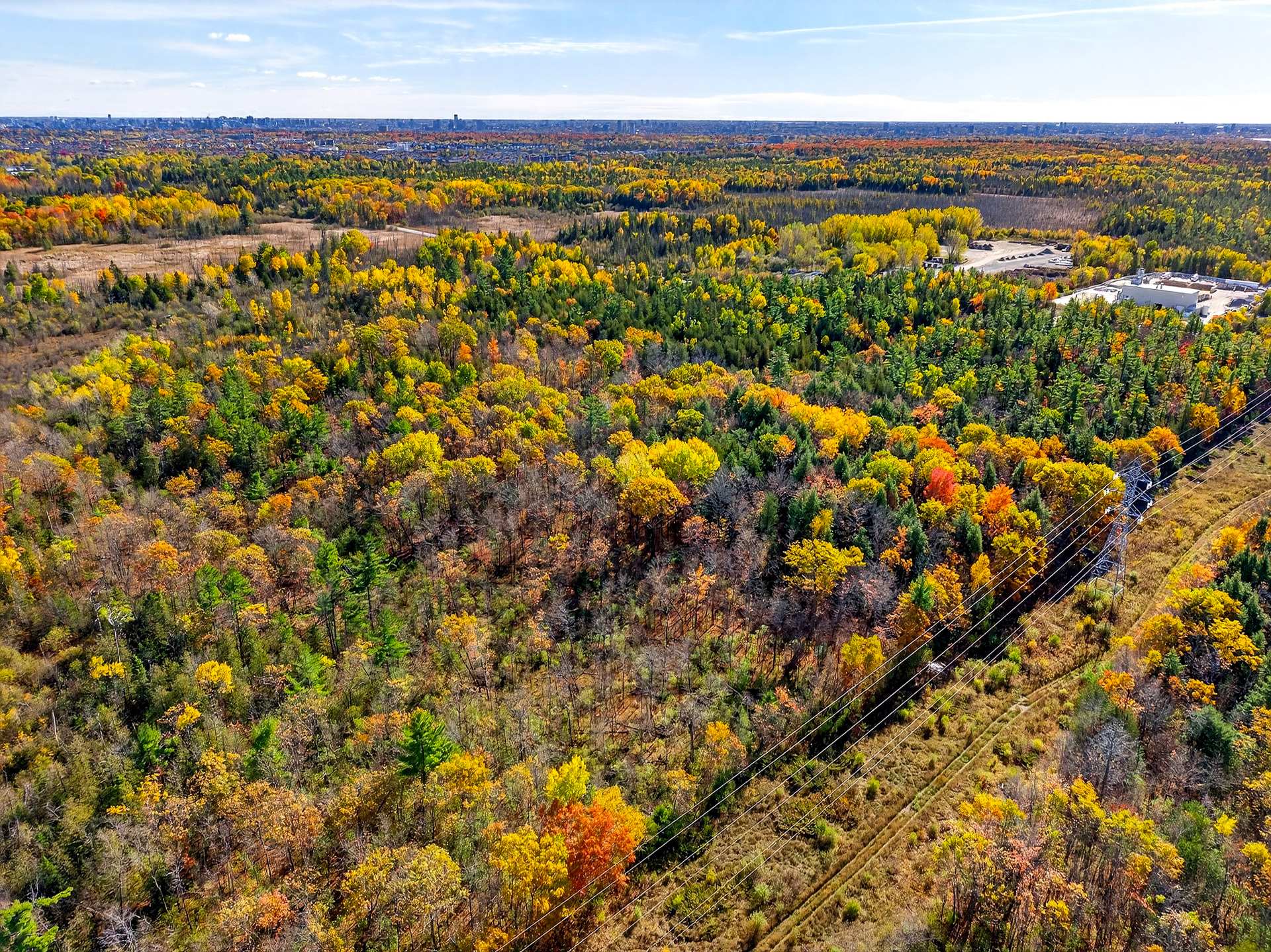 Land/Lot