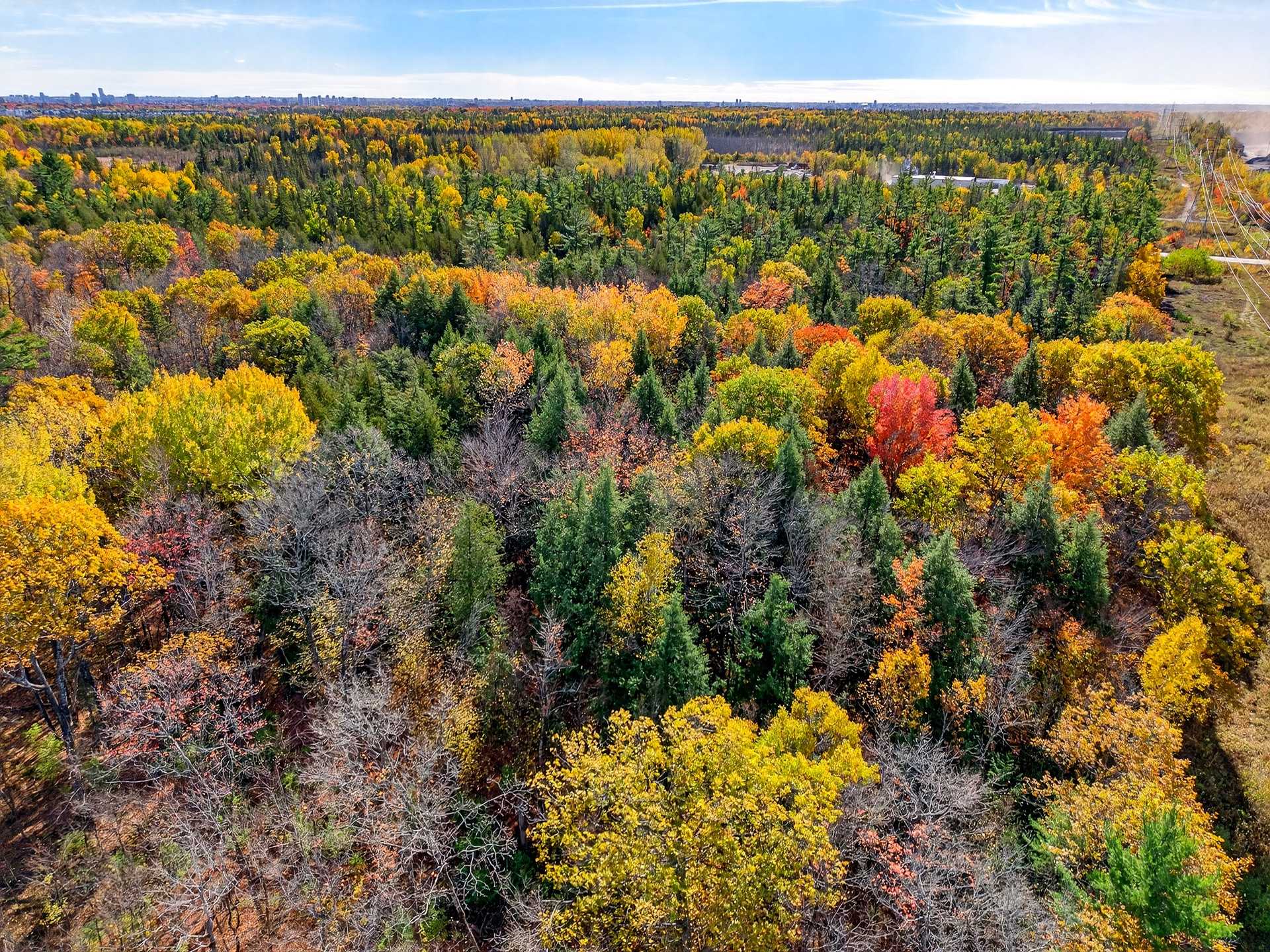 Land/Lot