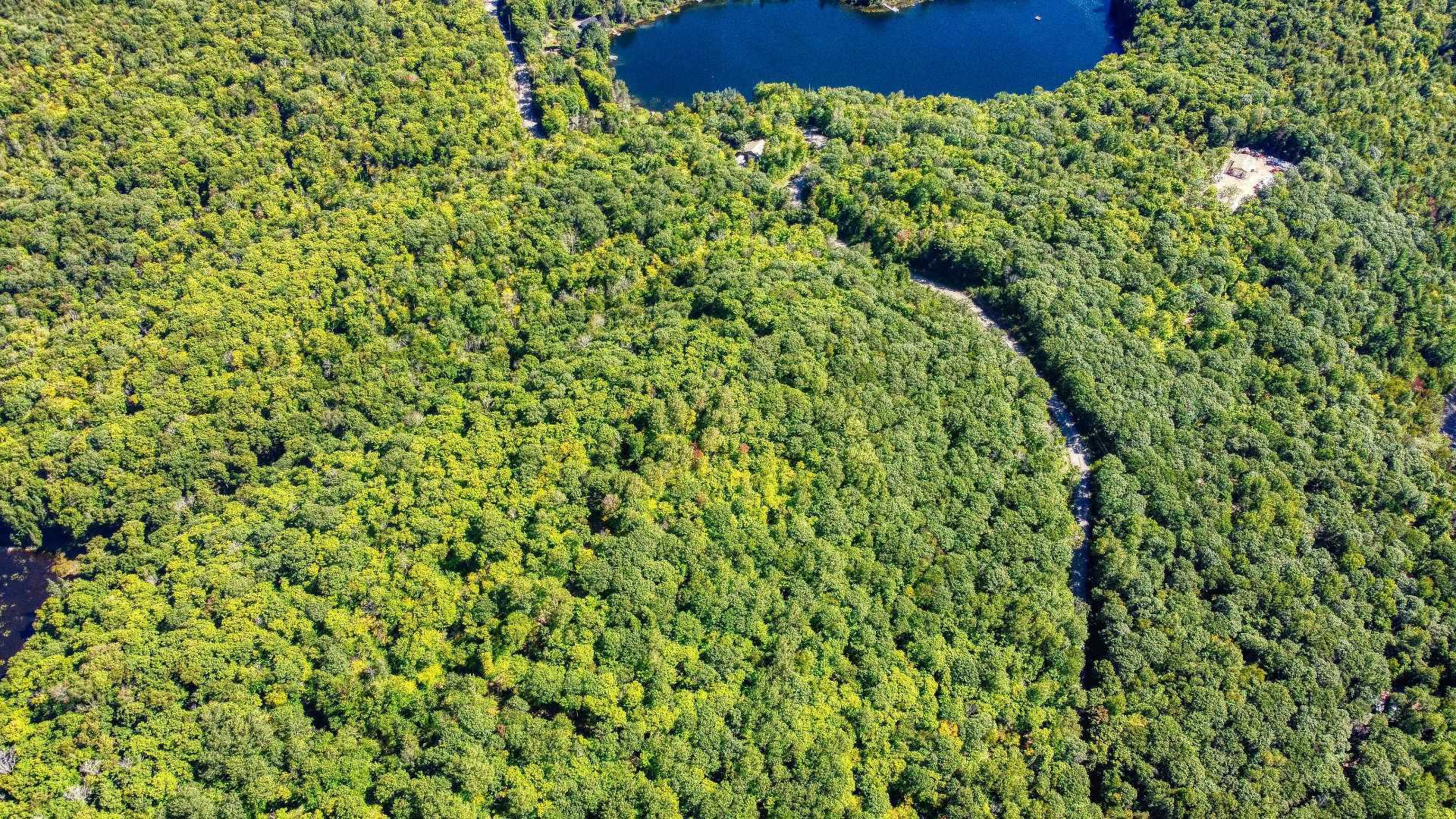 Aerial photo
