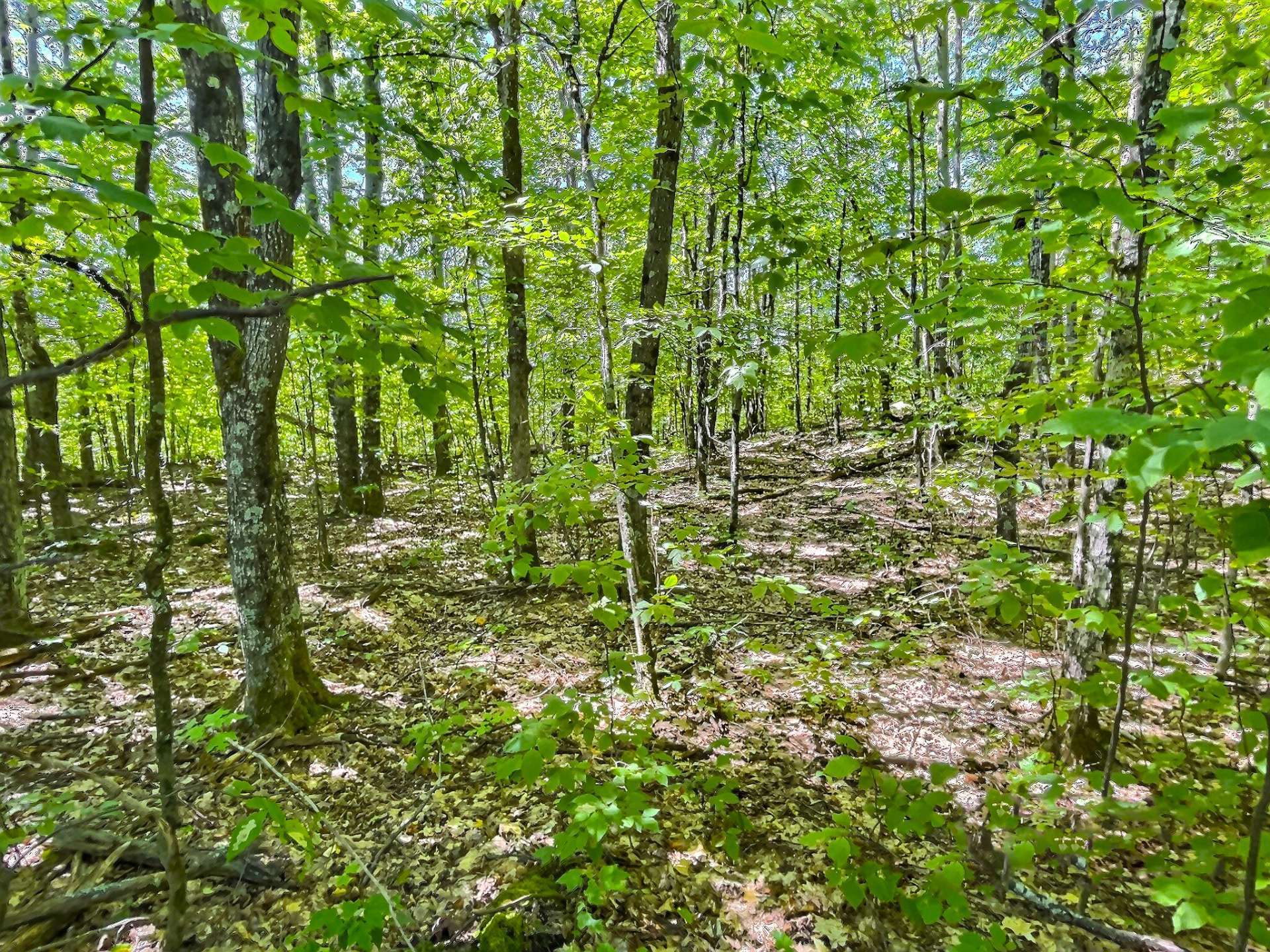 Land/Lot