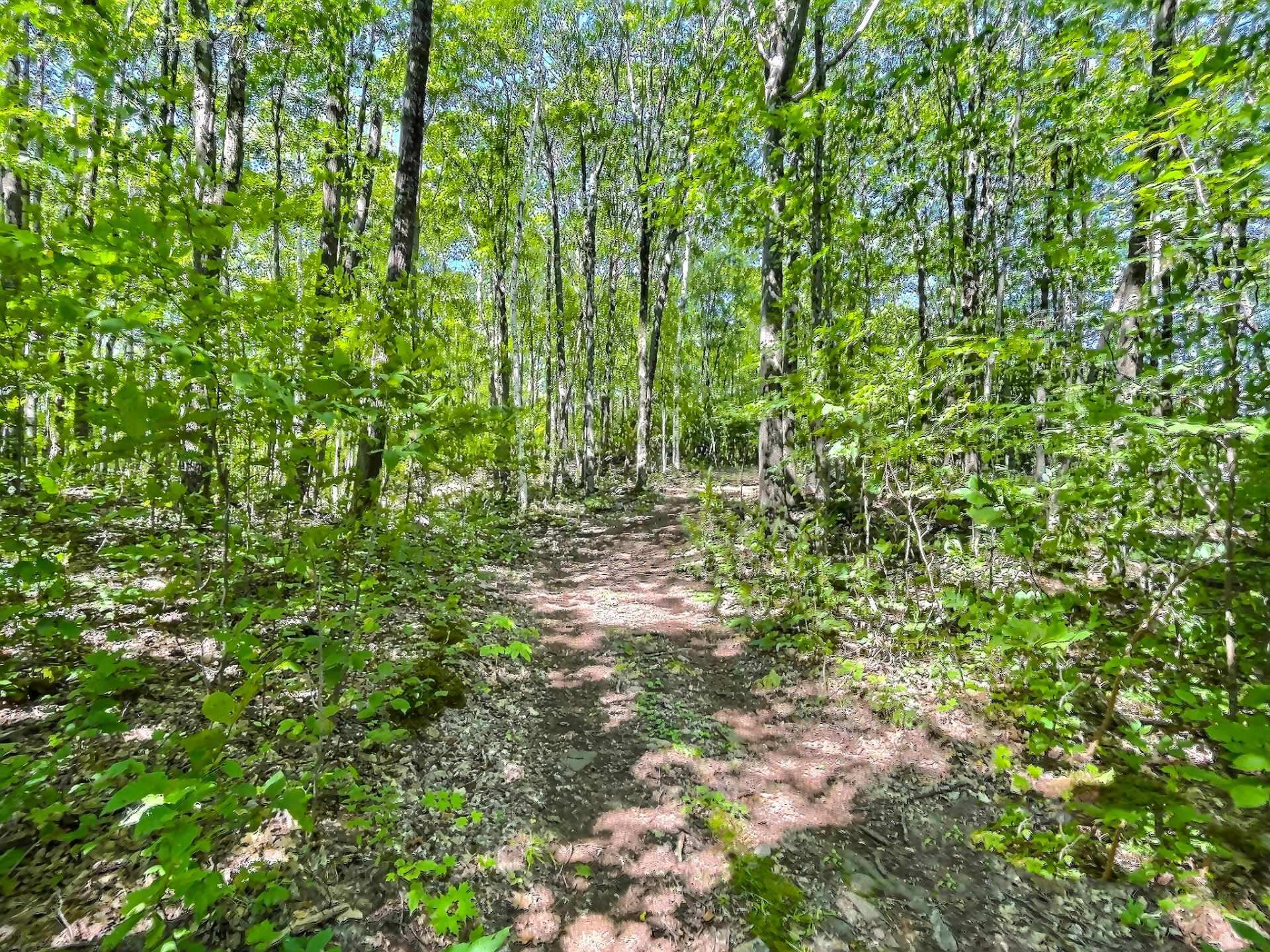 Land/Lot