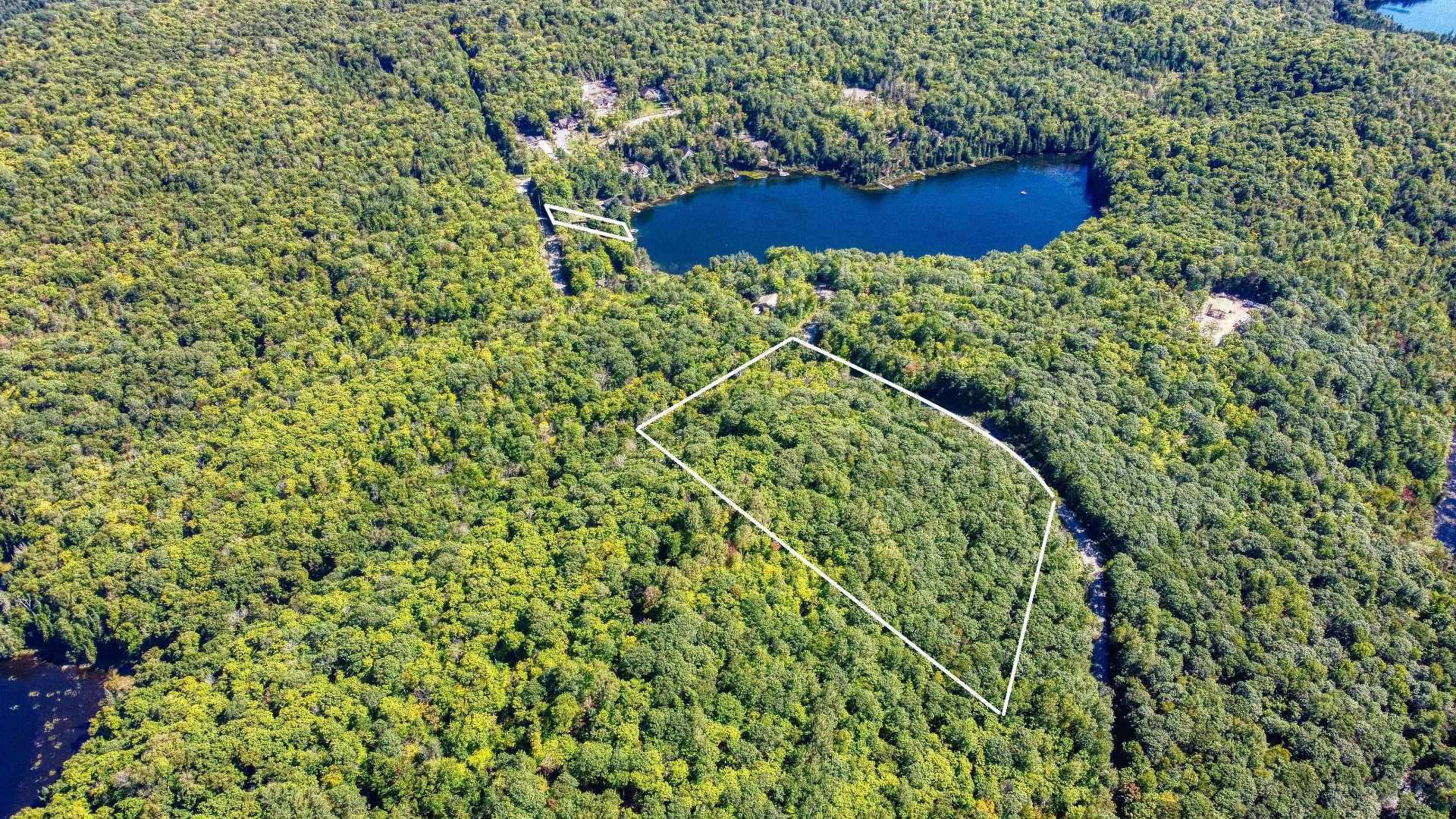 Aerial photo