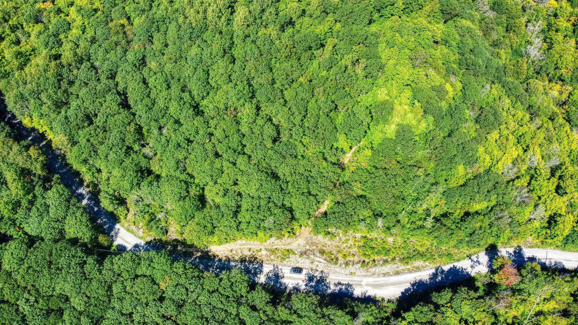 Aerial photo
