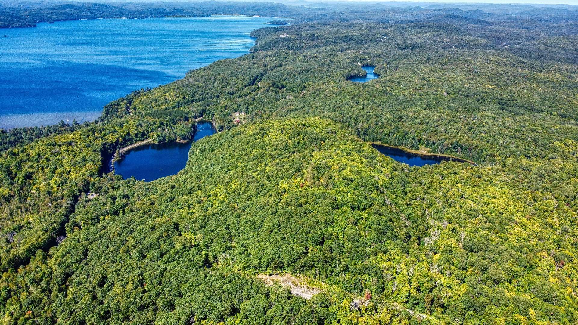 Aerial photo