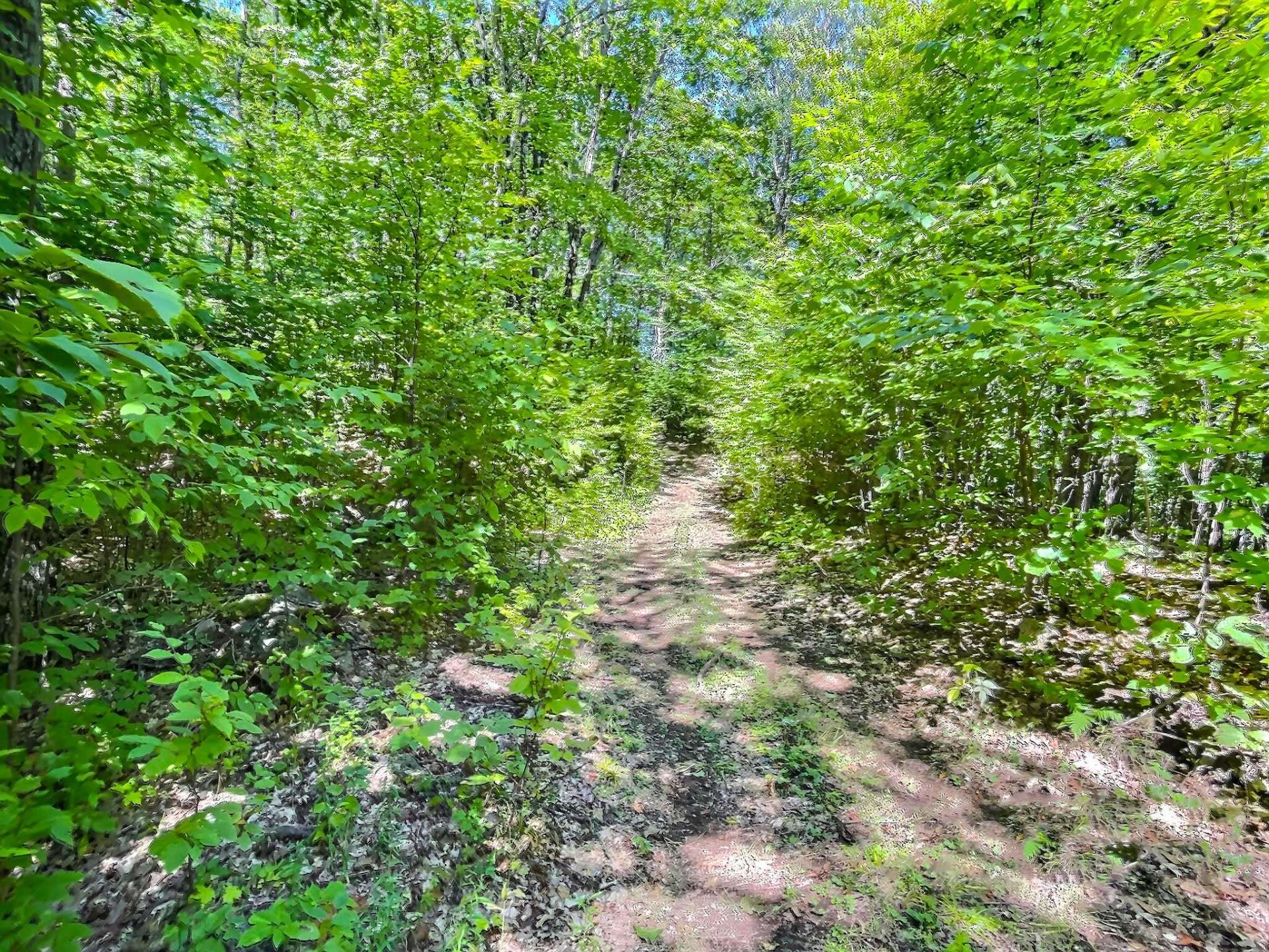 Land/Lot