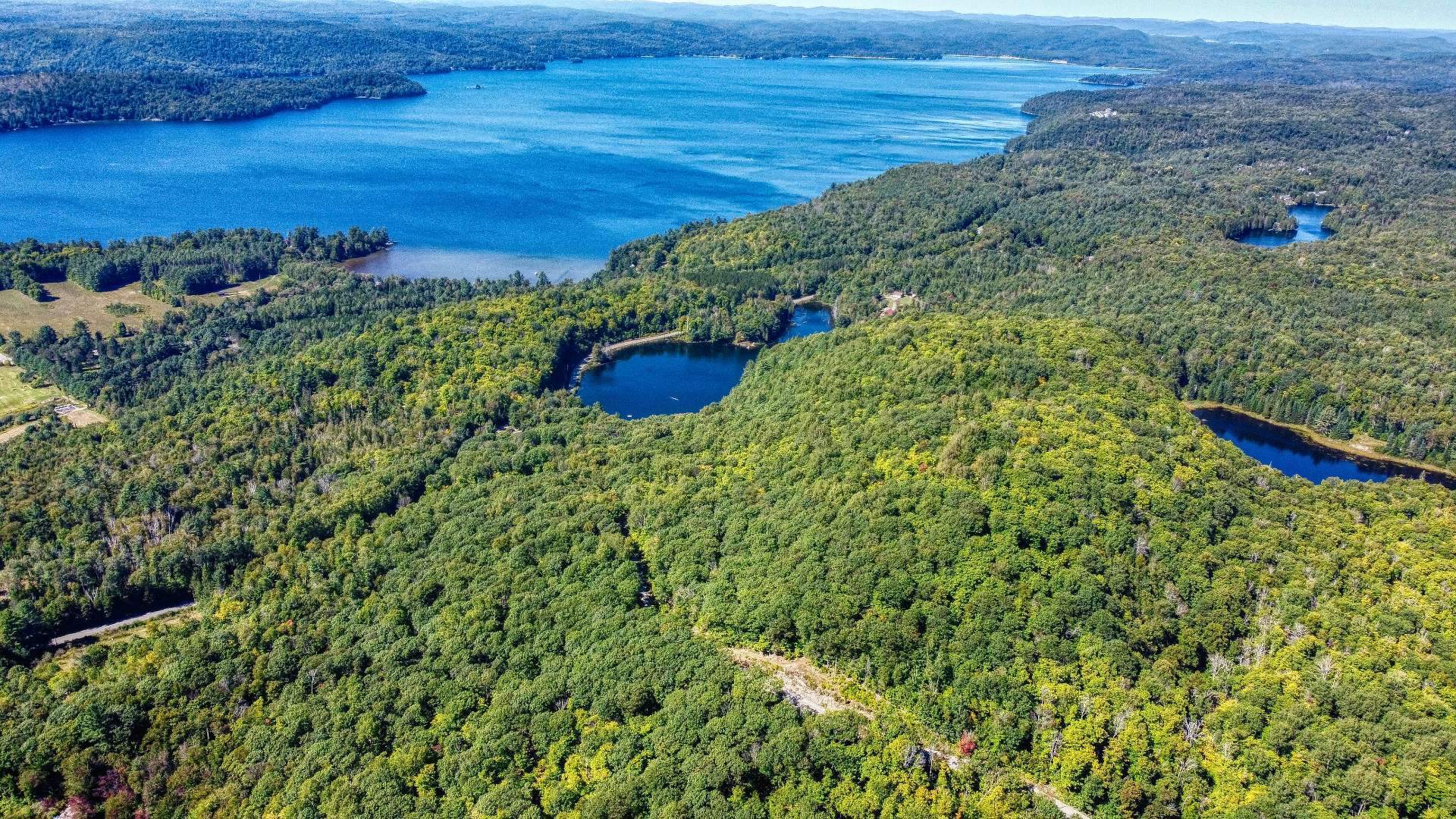 Aerial photo