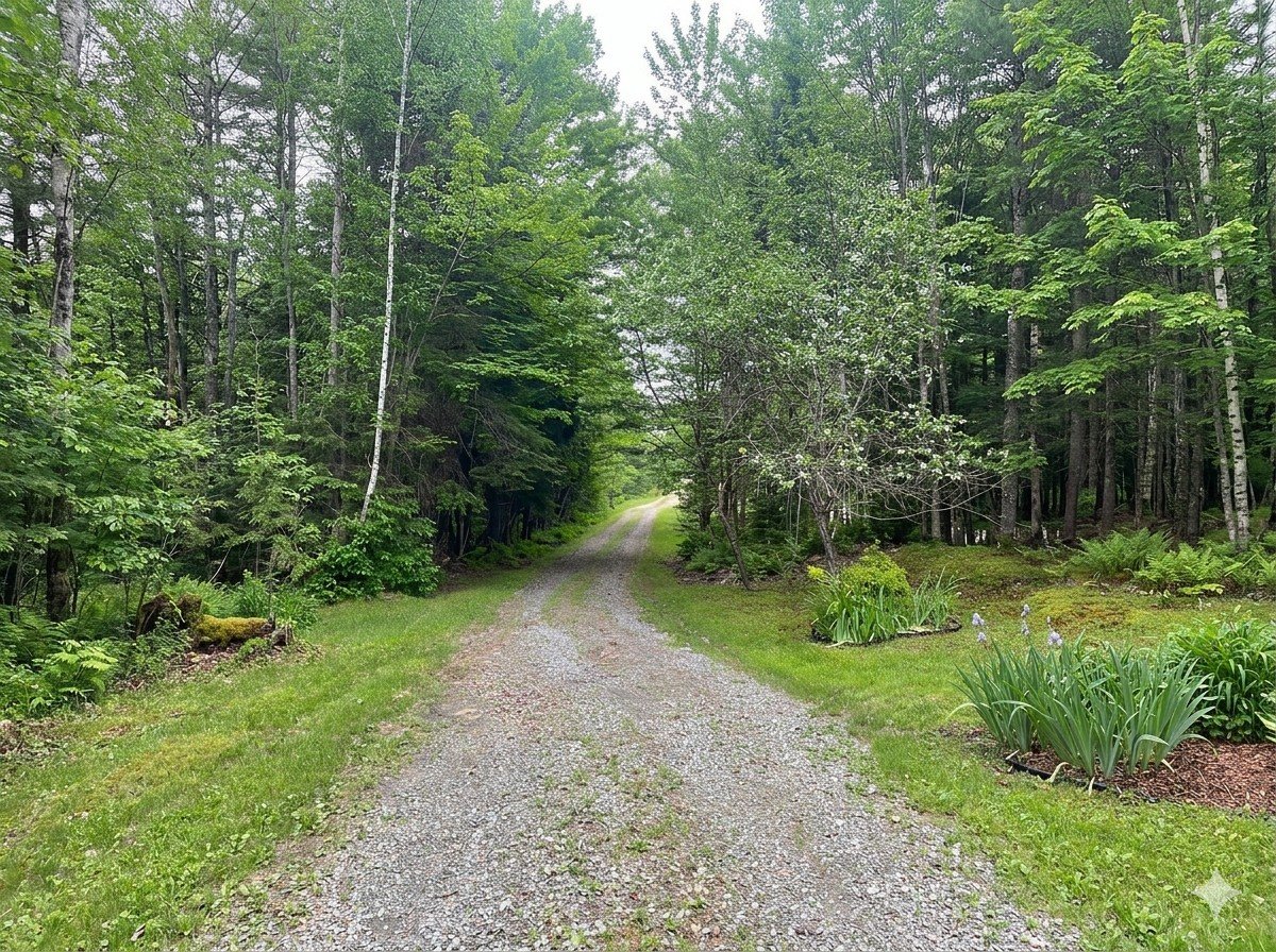 Other - Driveway lined with mature trees
