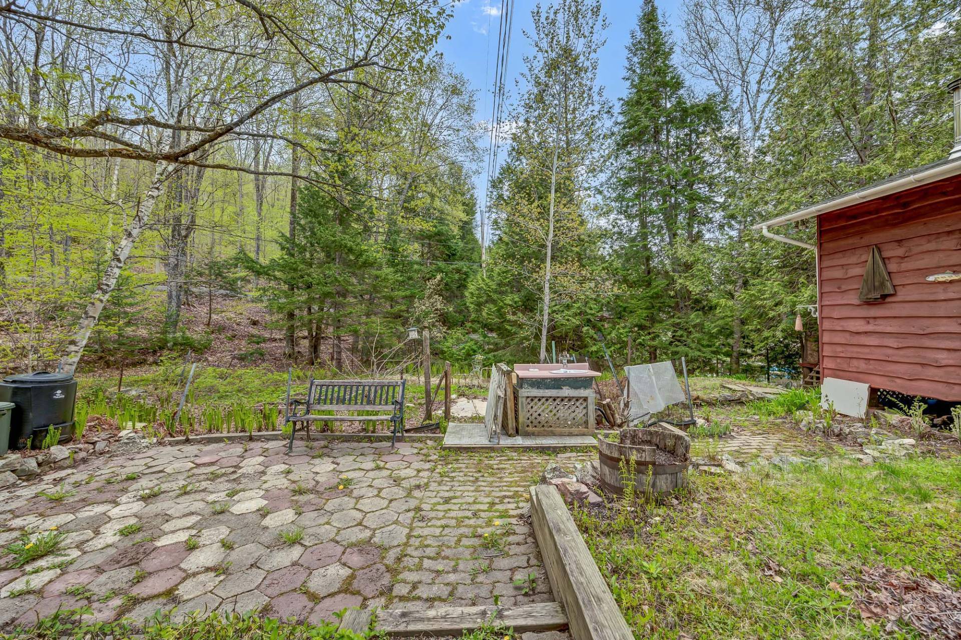 Backyard