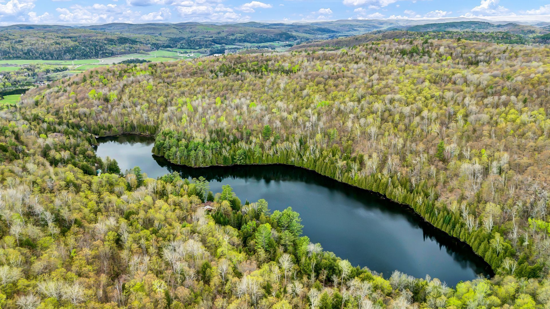 Aerial photo