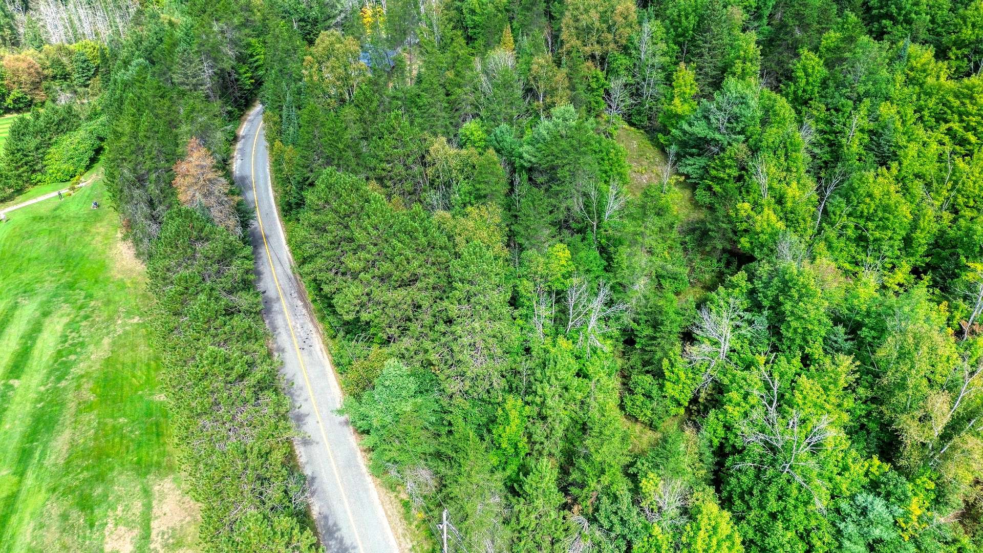 Aerial photo
