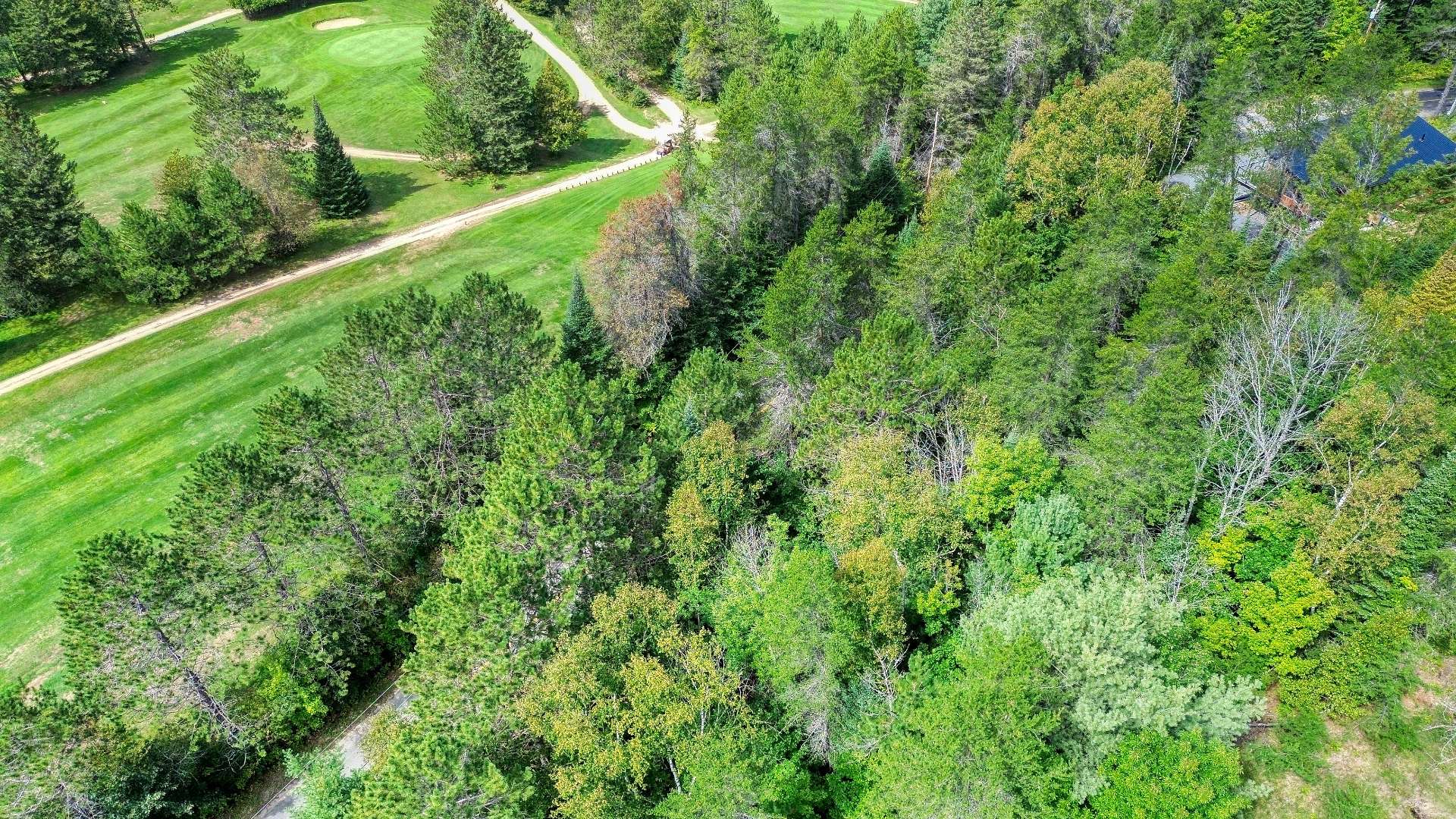 Aerial photo
