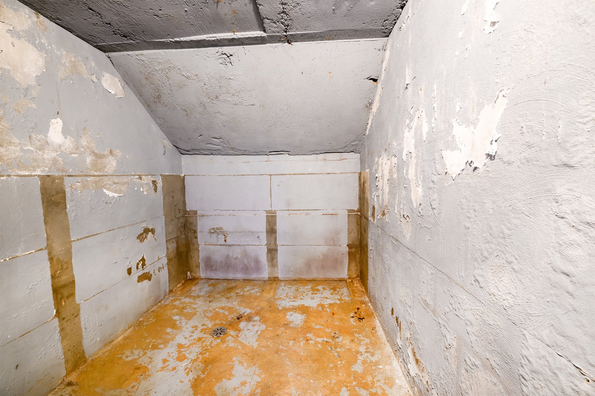 Cave/ chambre froide