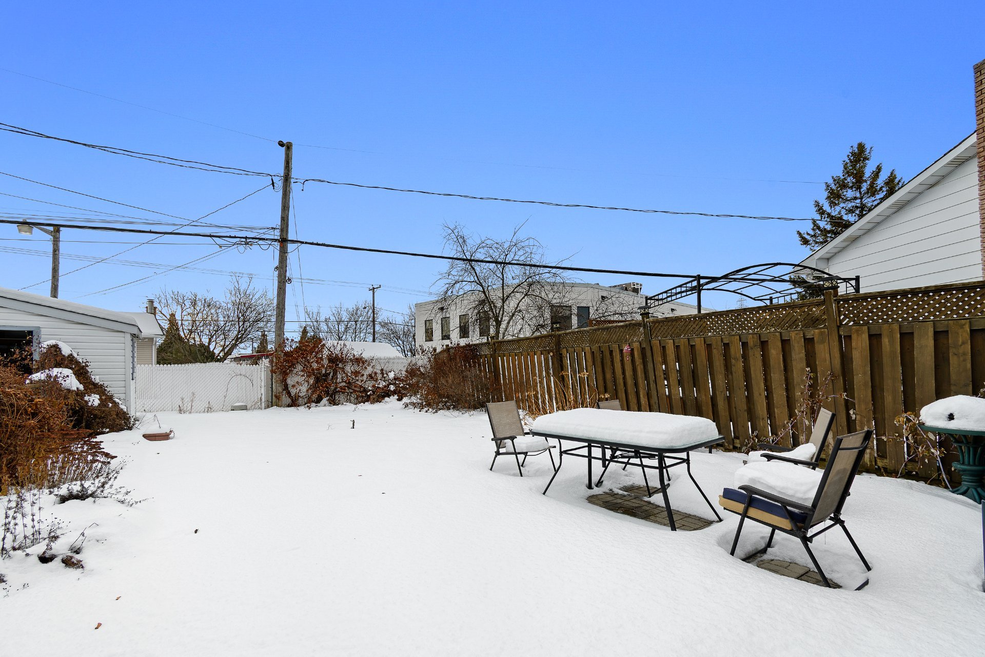 Backyard