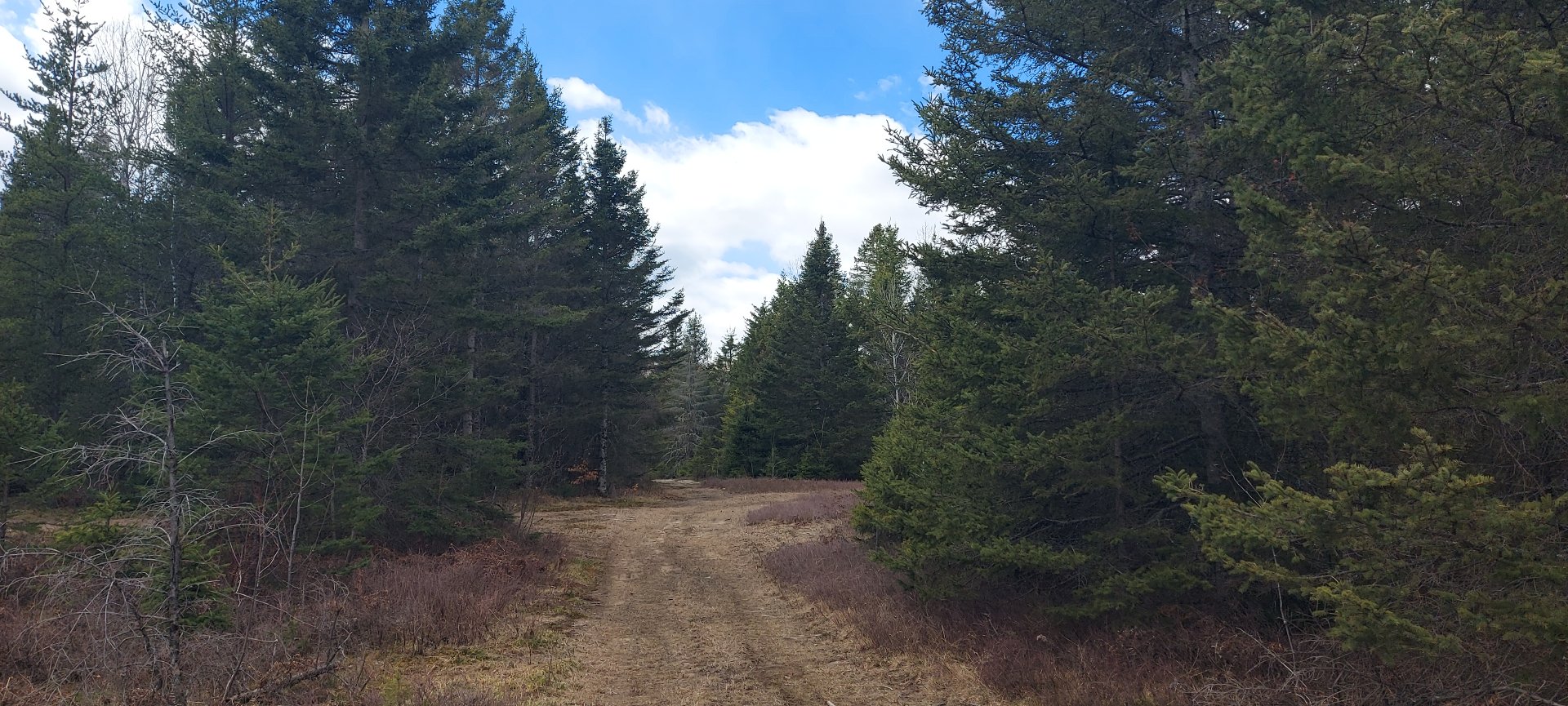 Terre/Terrain
