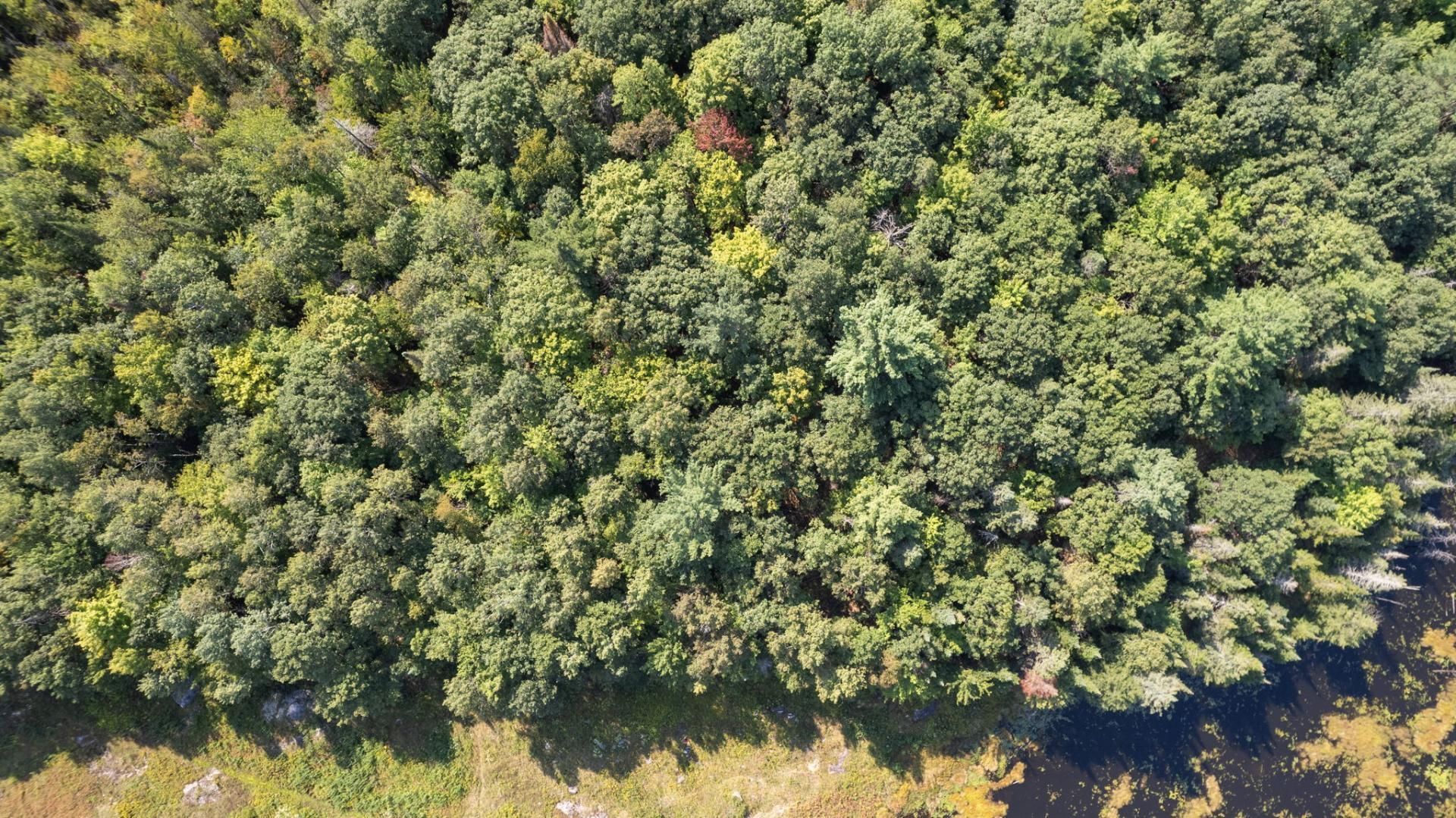 Land/Lot