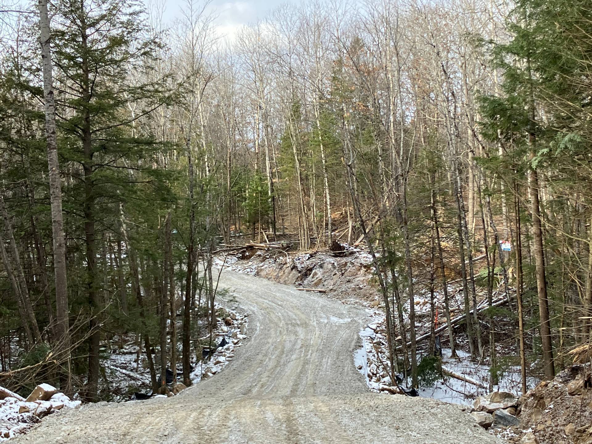 Land/Lot