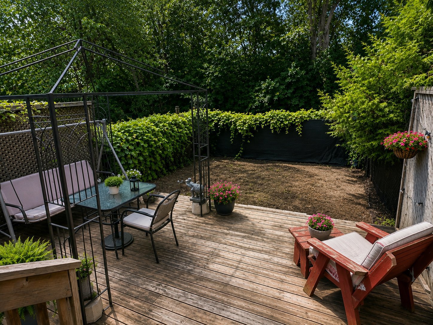Backyard