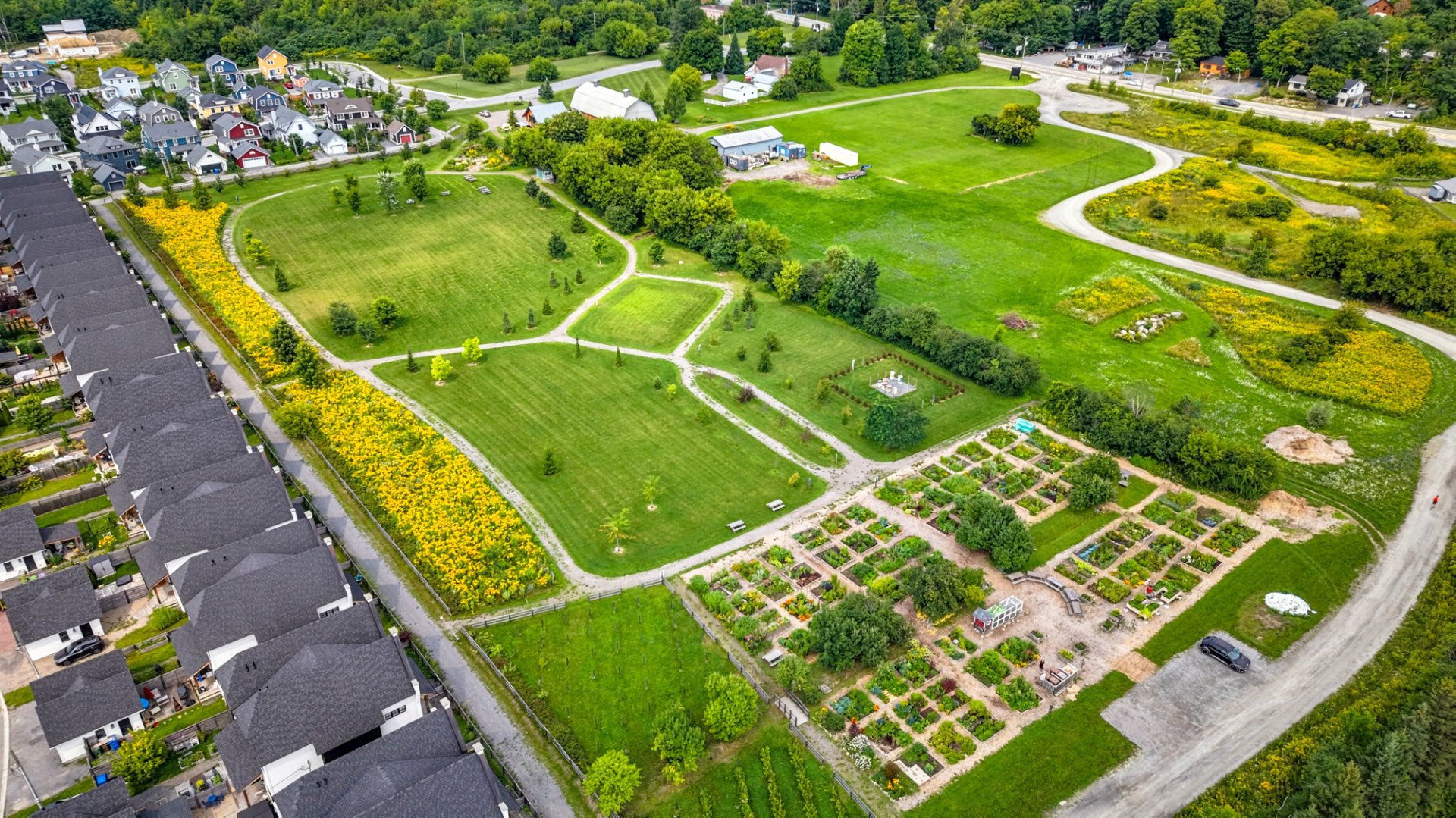 Aerial photo