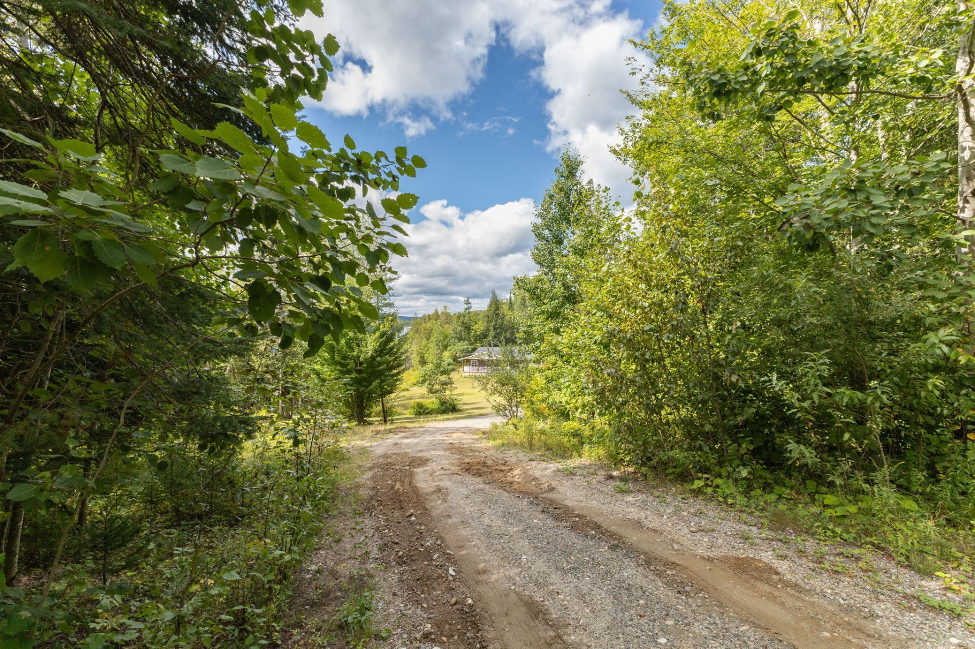 Land/Lot