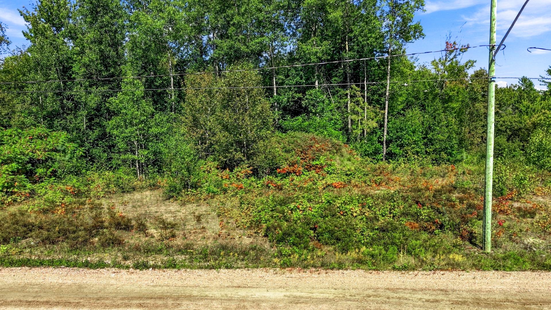 Land/Lot
