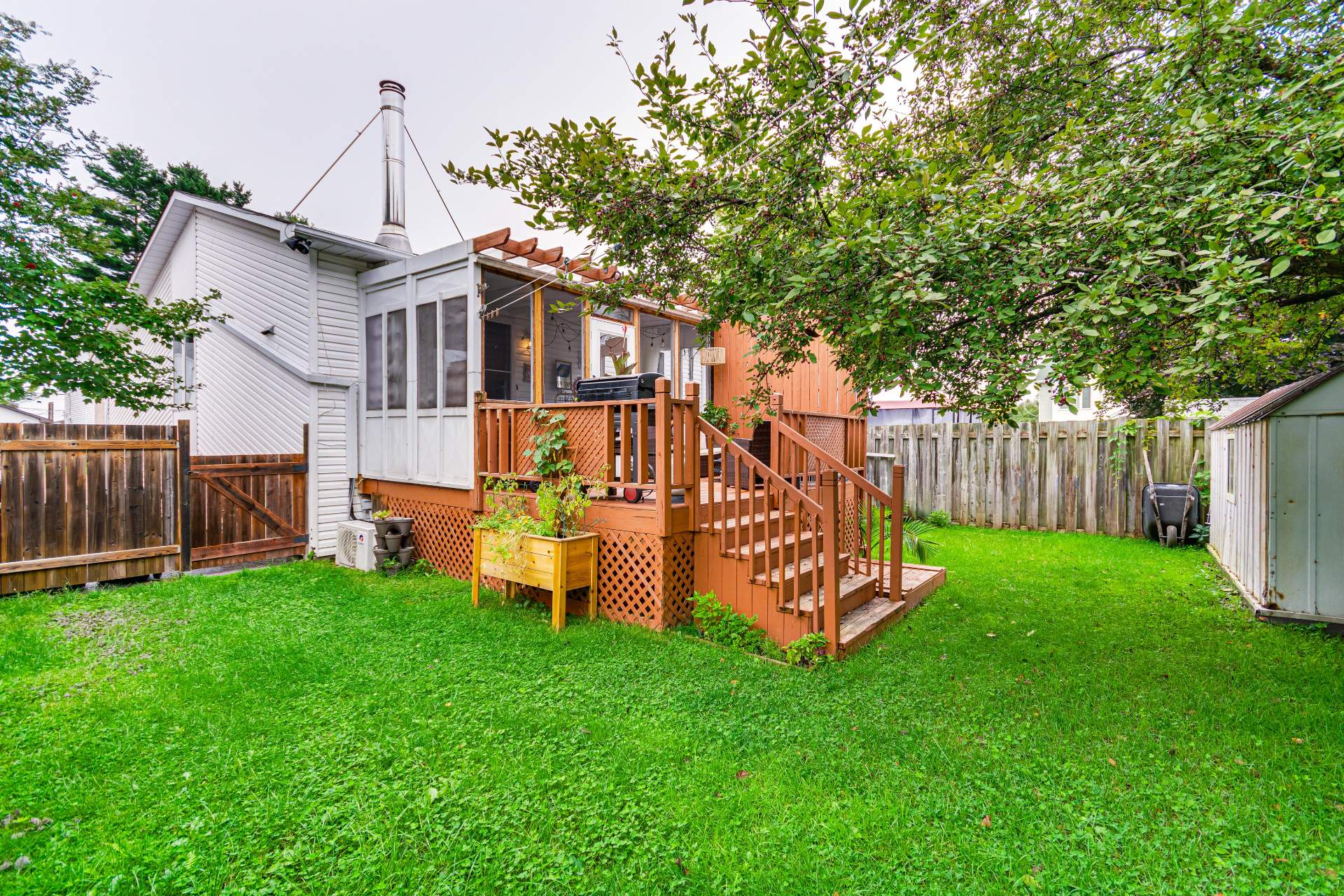 Backyard