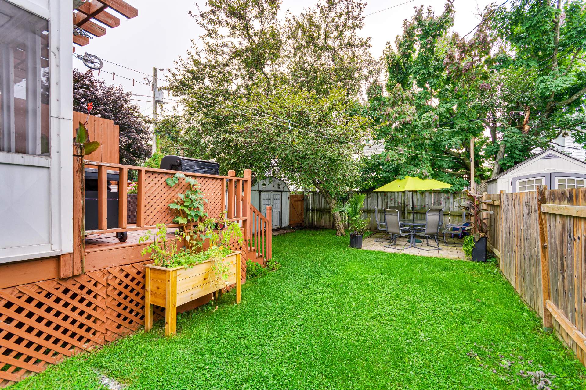 Backyard