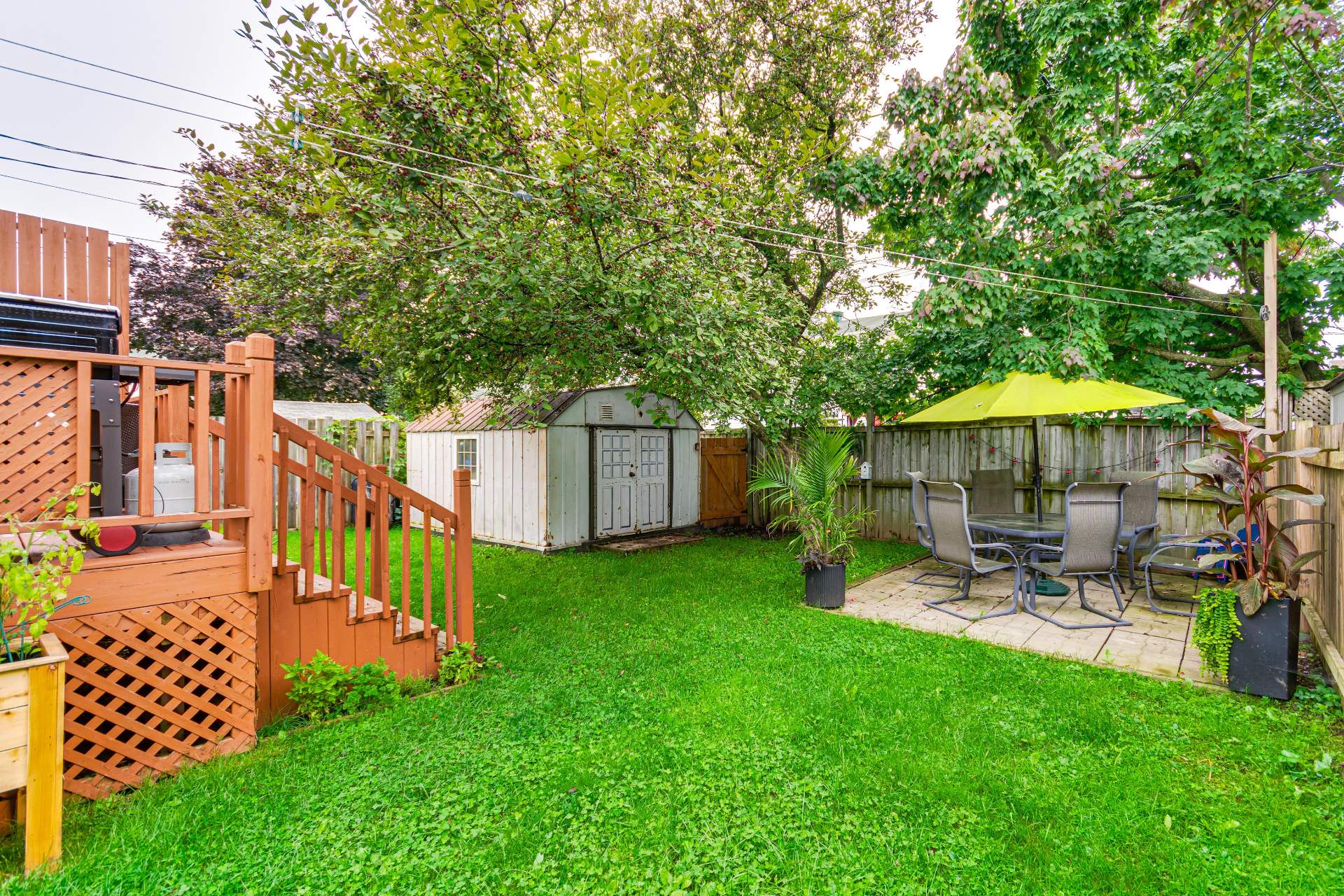 Backyard