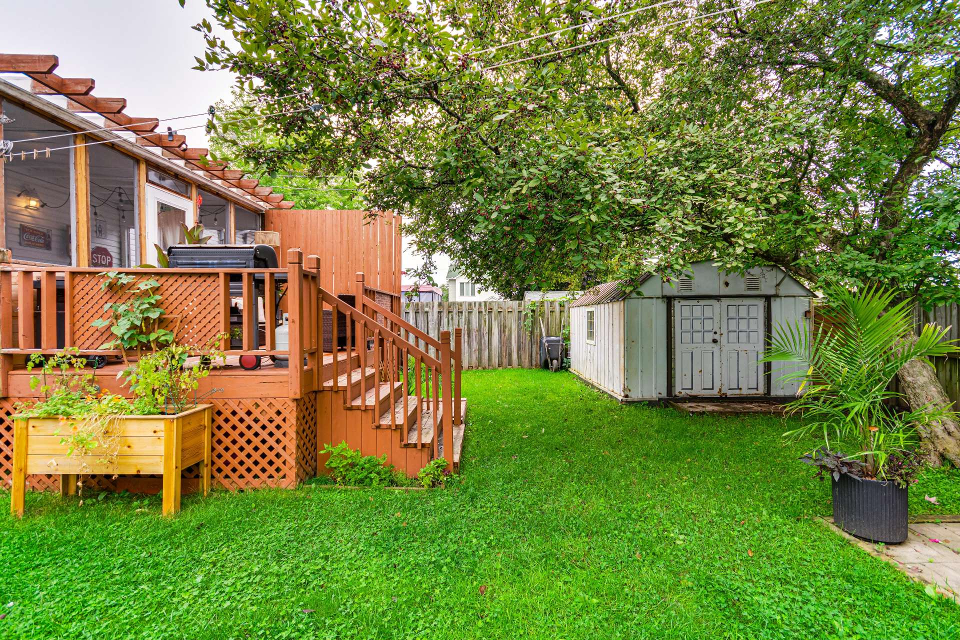 Backyard