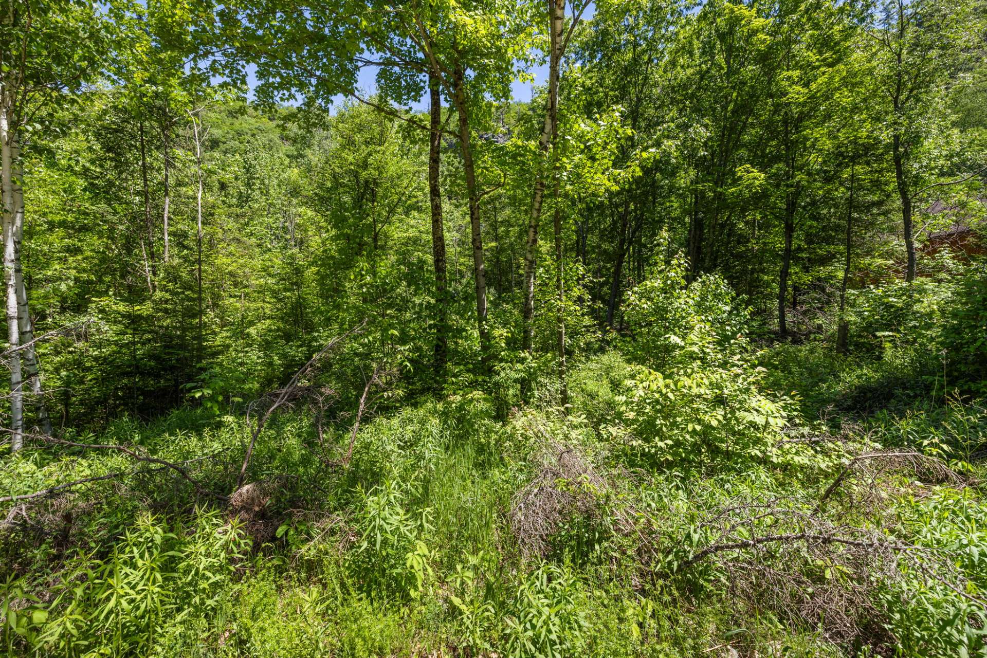 Land/Lot