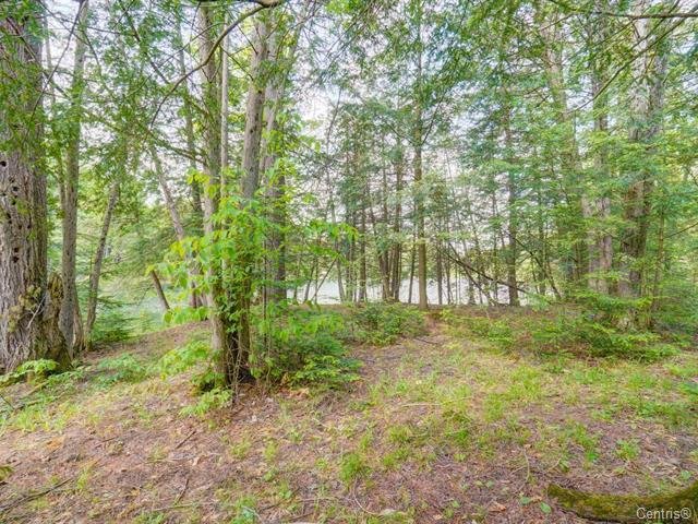 Land/Lot