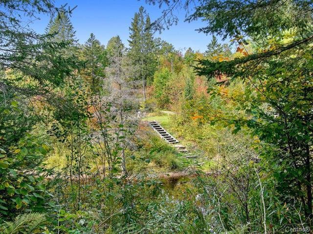Wooded area