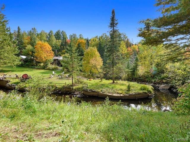 Wooded area